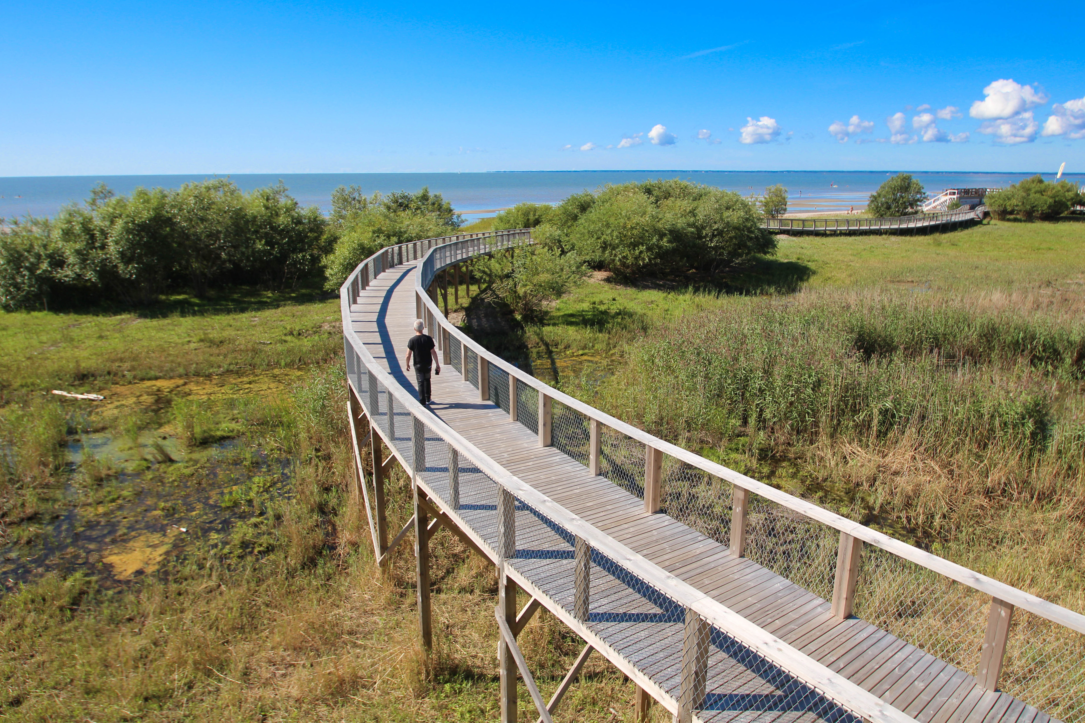 Træbrygge gennem naturområde ved Pärnu strand i Estland med udsigt til Baltiske Hav