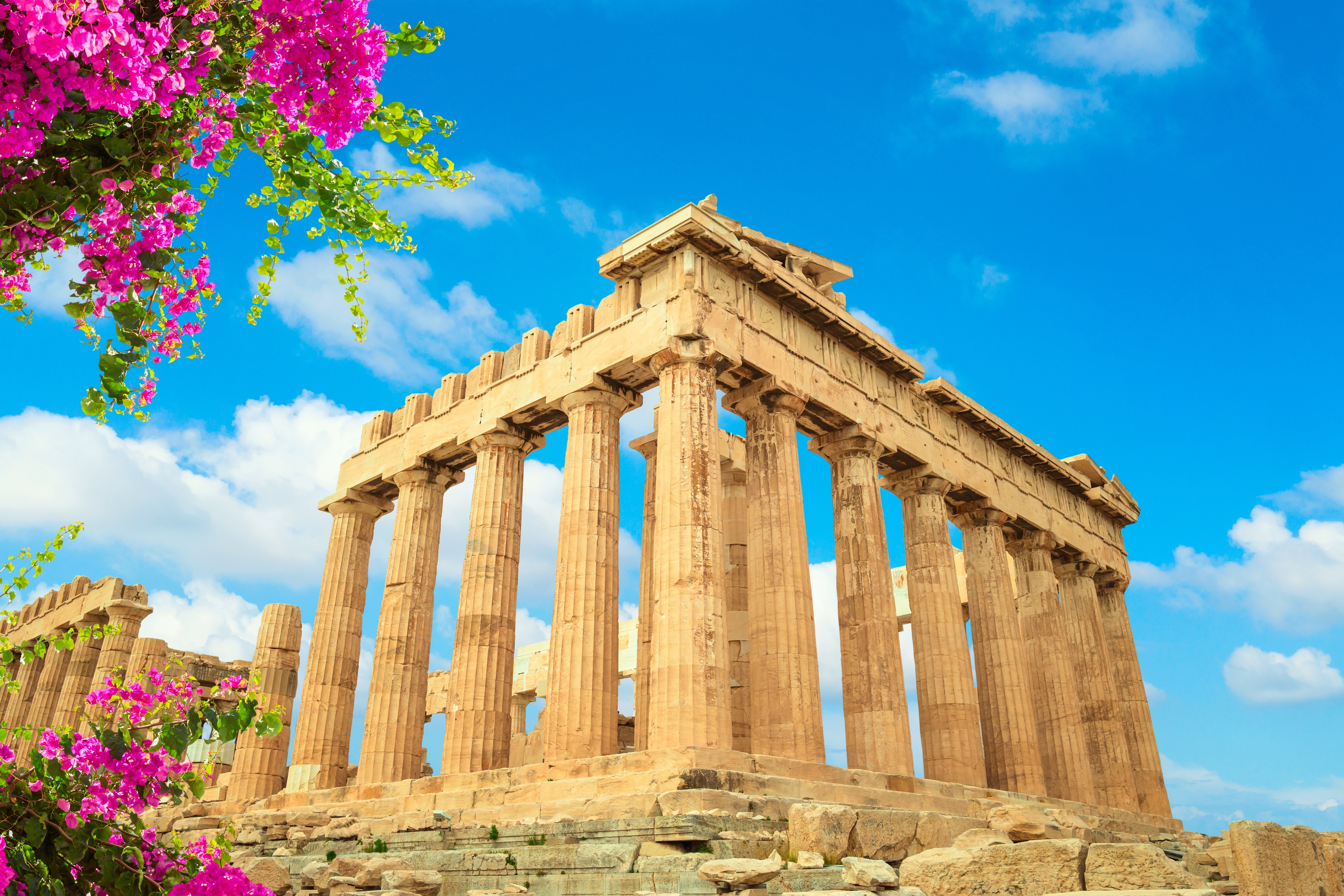 Det antikke Parthenon tempel med pink blomster på Akropolis i Athen, Grækenland under blå sommerhimmel