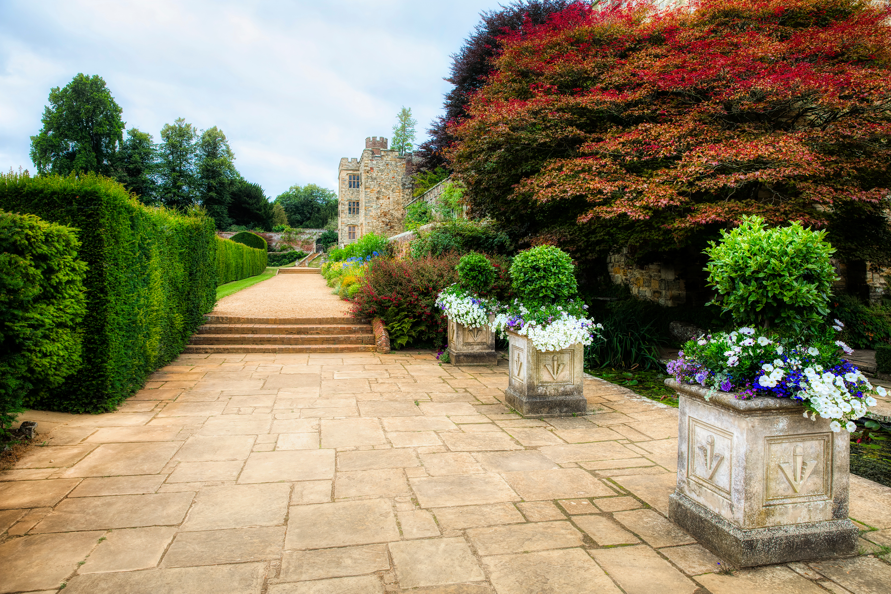 Smuk stenhavegang ved Penshurst Place i Kent, England, med velklippede hække, dekorative stenurter med hvide og lilla blomster og et farverigt rødt ahornttræ