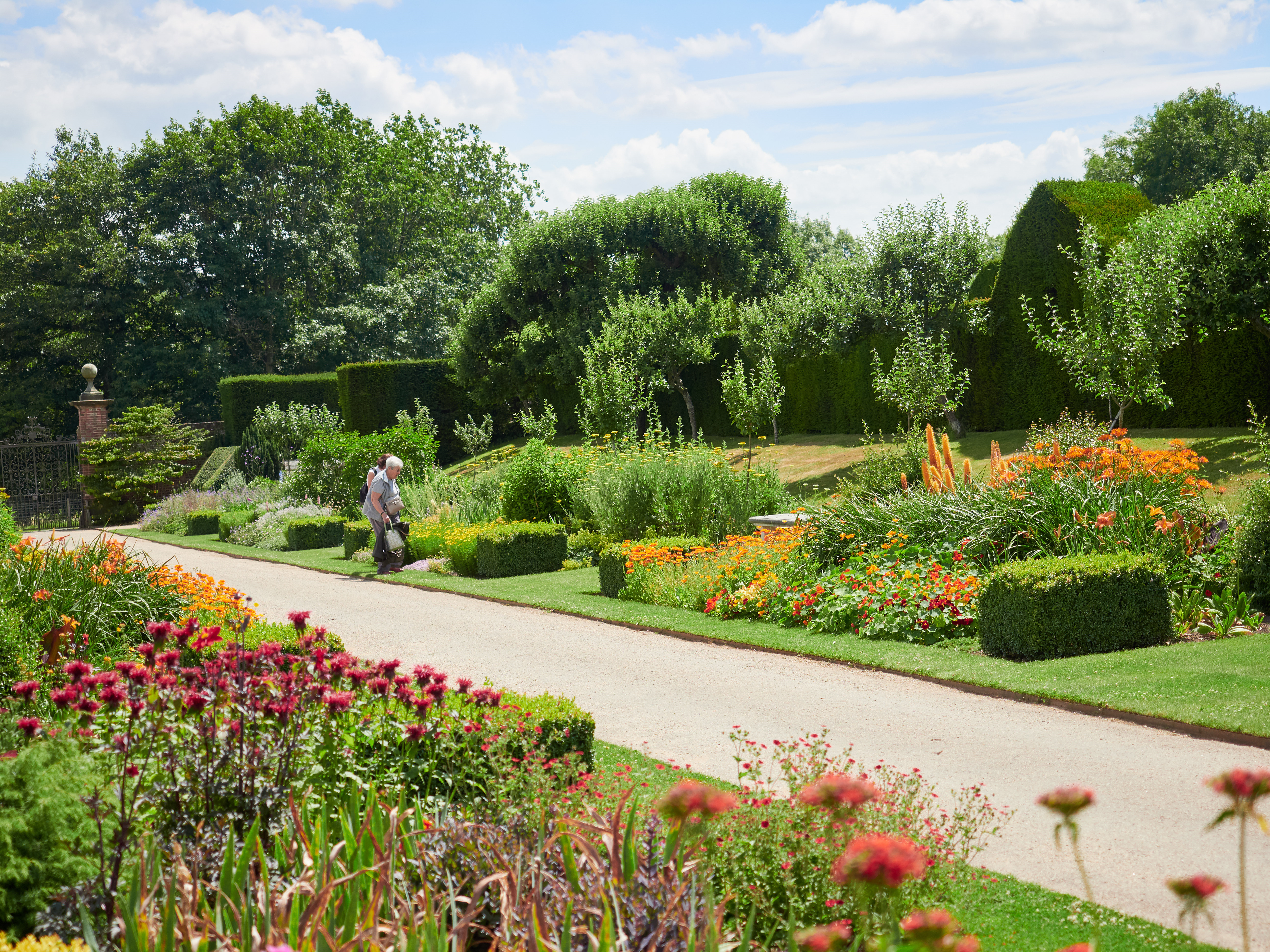 Smuk formel engelsk have ved Penshurst Place i Kent med farverige blomsterbede og klippede hække på en solrig sommerdag