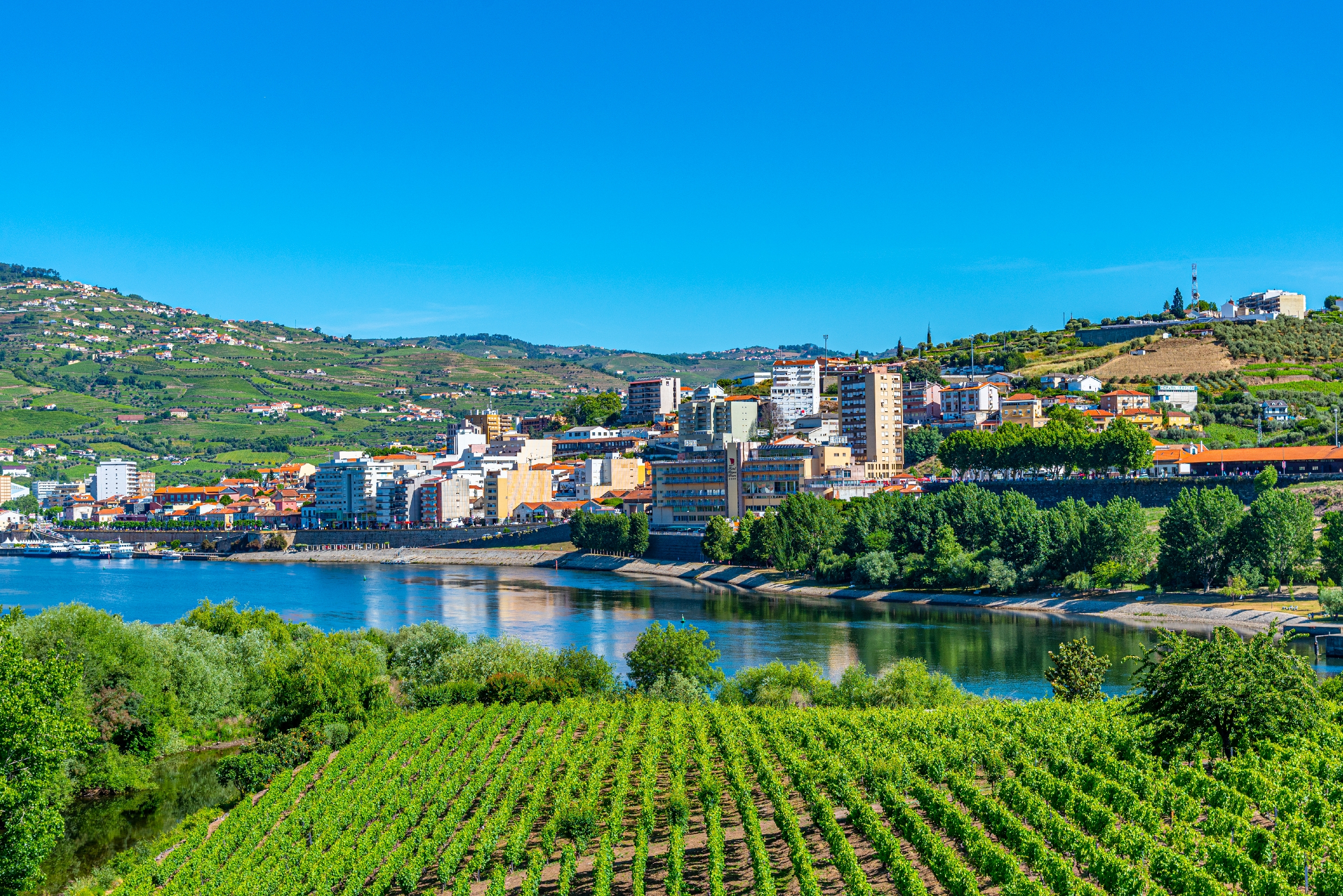 Udsigt over Peso da Régua ved Douro-floden omgivet af terrasse-vingårde og grønne bakker i Portugals Douro-dal
