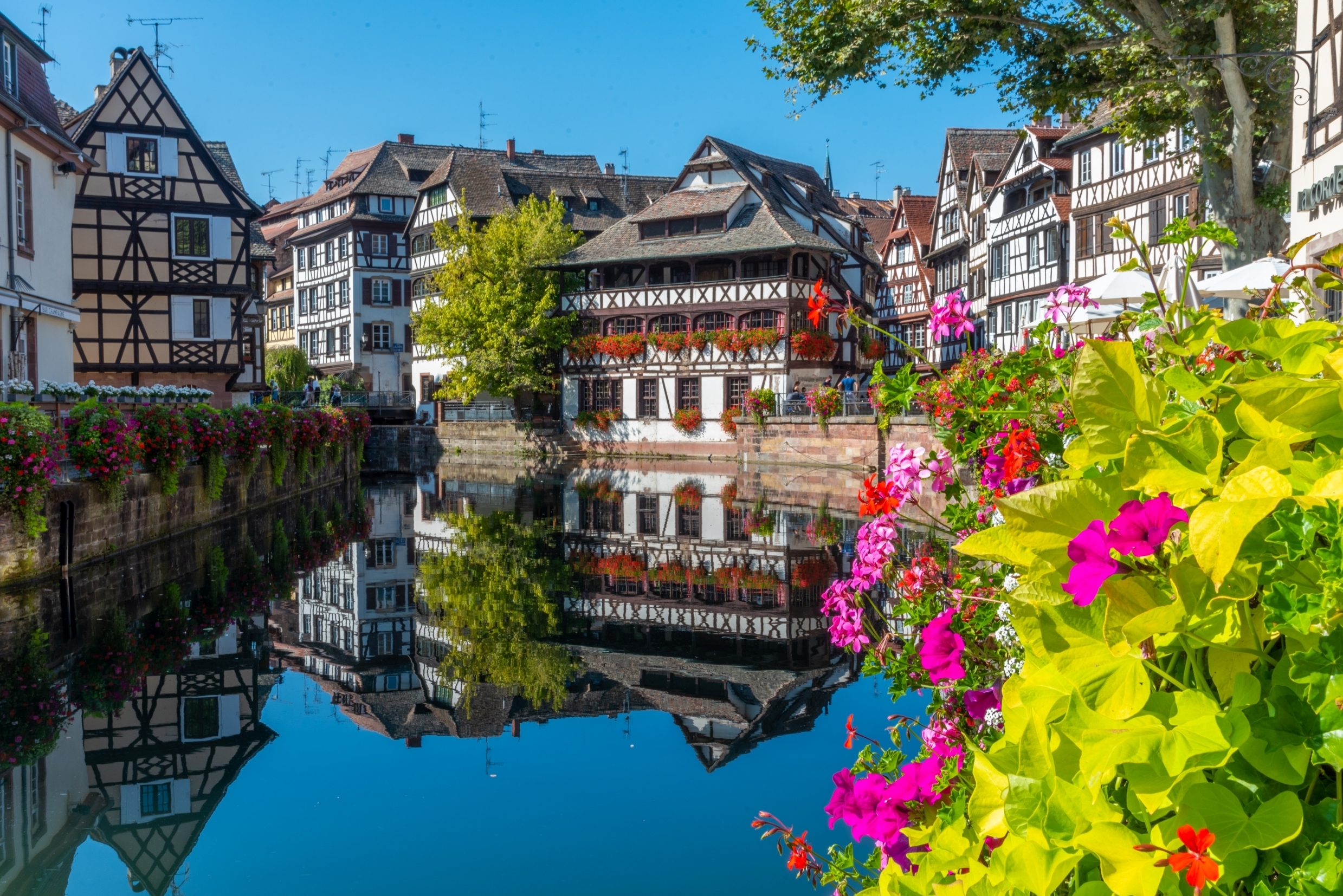Farverige bindingsværkshuse med blomster langs kanalen i Petite France-kvarteret i Strasbourg, Frankrig