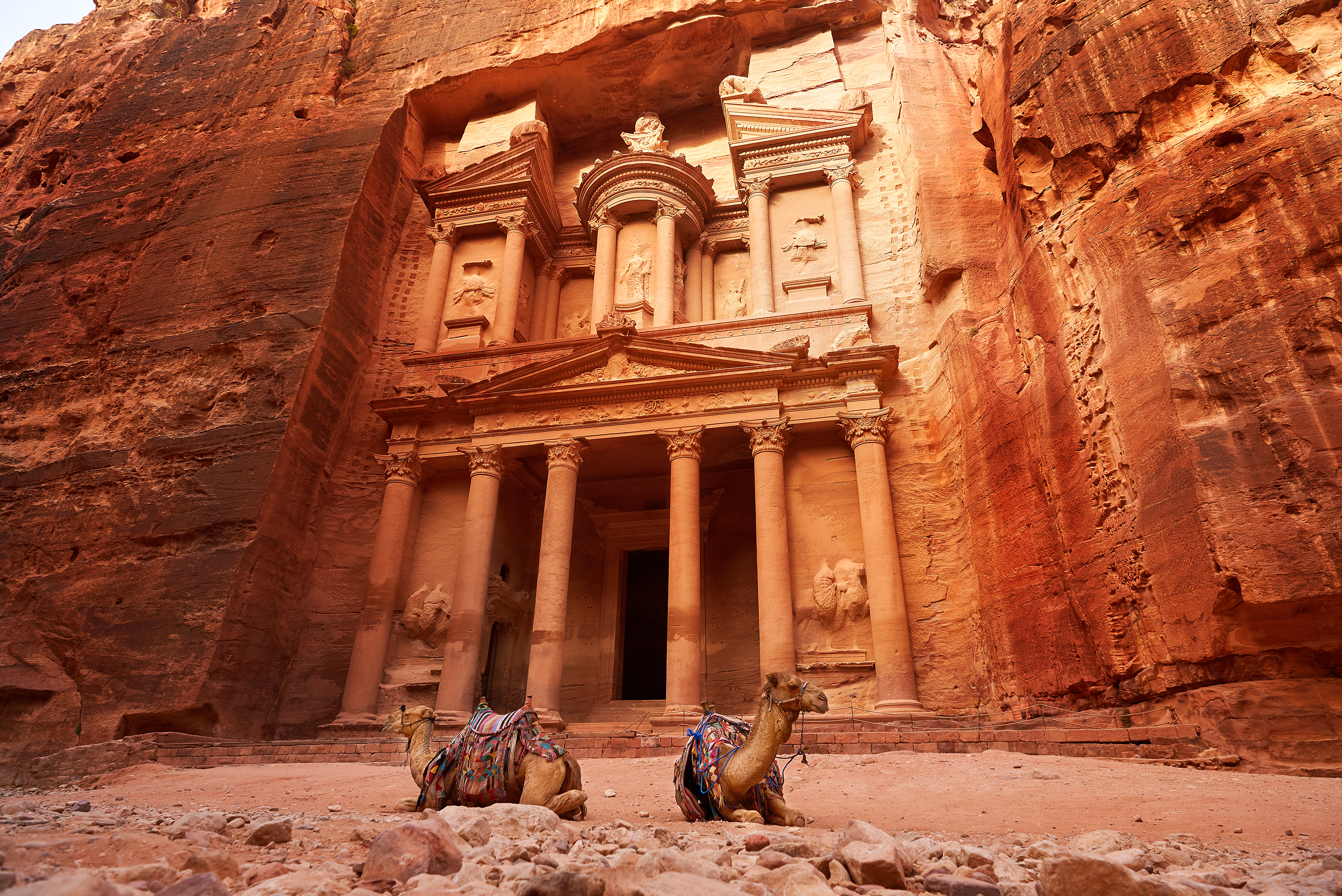 Treasury-templet i Petra Jordan med kameler foran den antikke nabatæiske facade