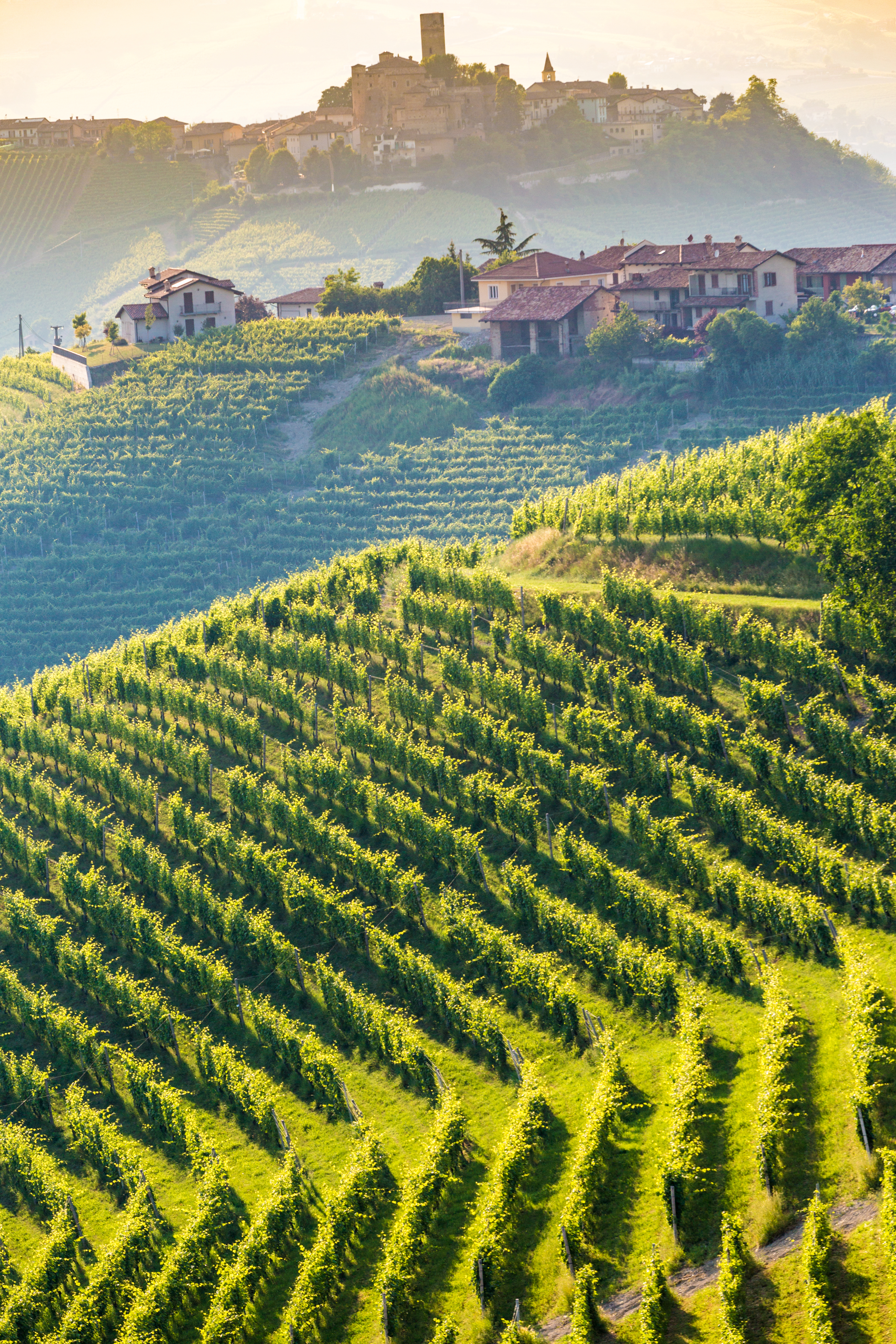 Solnedgang over vingårde i Piemonte Italien med traditionel vinby