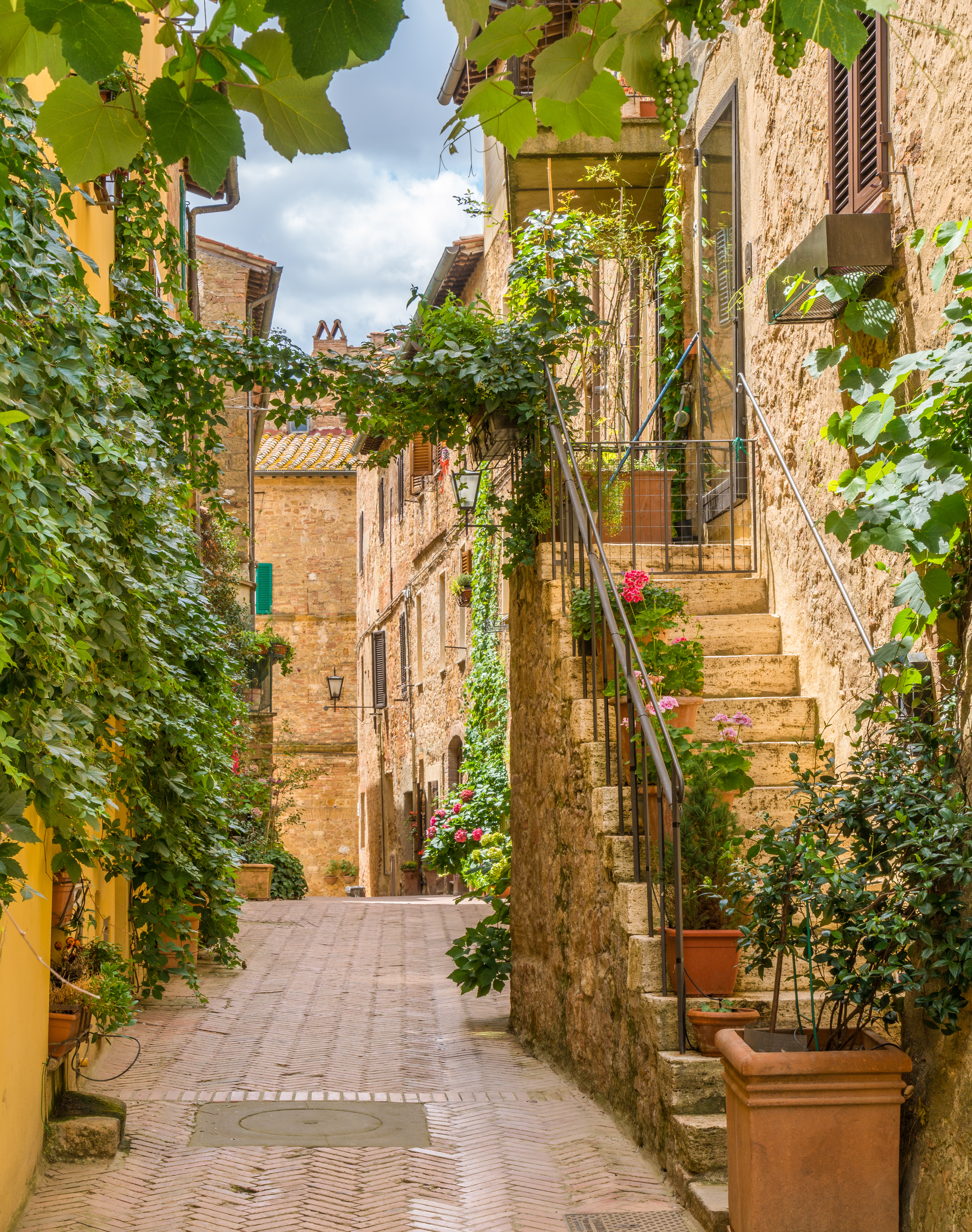 Charmerende brolagt gyde i Pienza, Toscana, omgivet af grøn vedbend, gamle stenbygninger og farverige blomster på en solrig sommerdag