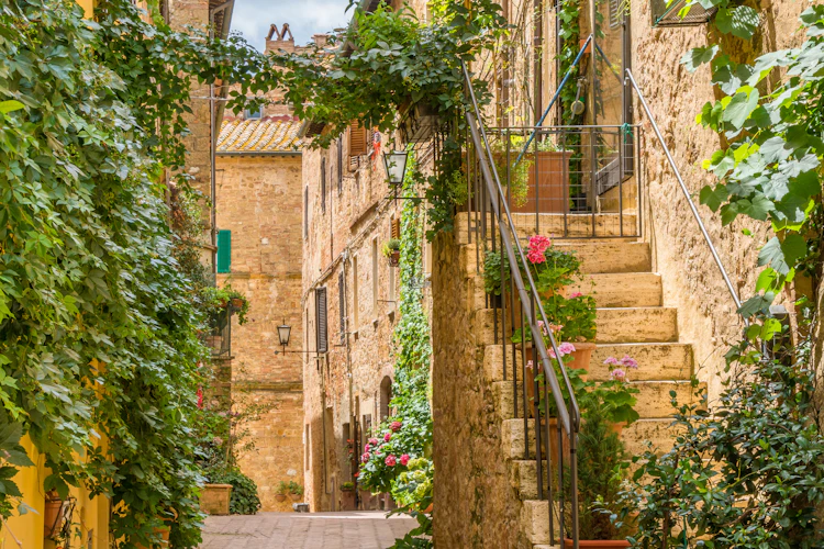 Charmerende brolagt gyde i Pienza, Toscana, omgivet af grøn vedbend, gamle stenbygninger og farverige blomster på en solrig sommerdag