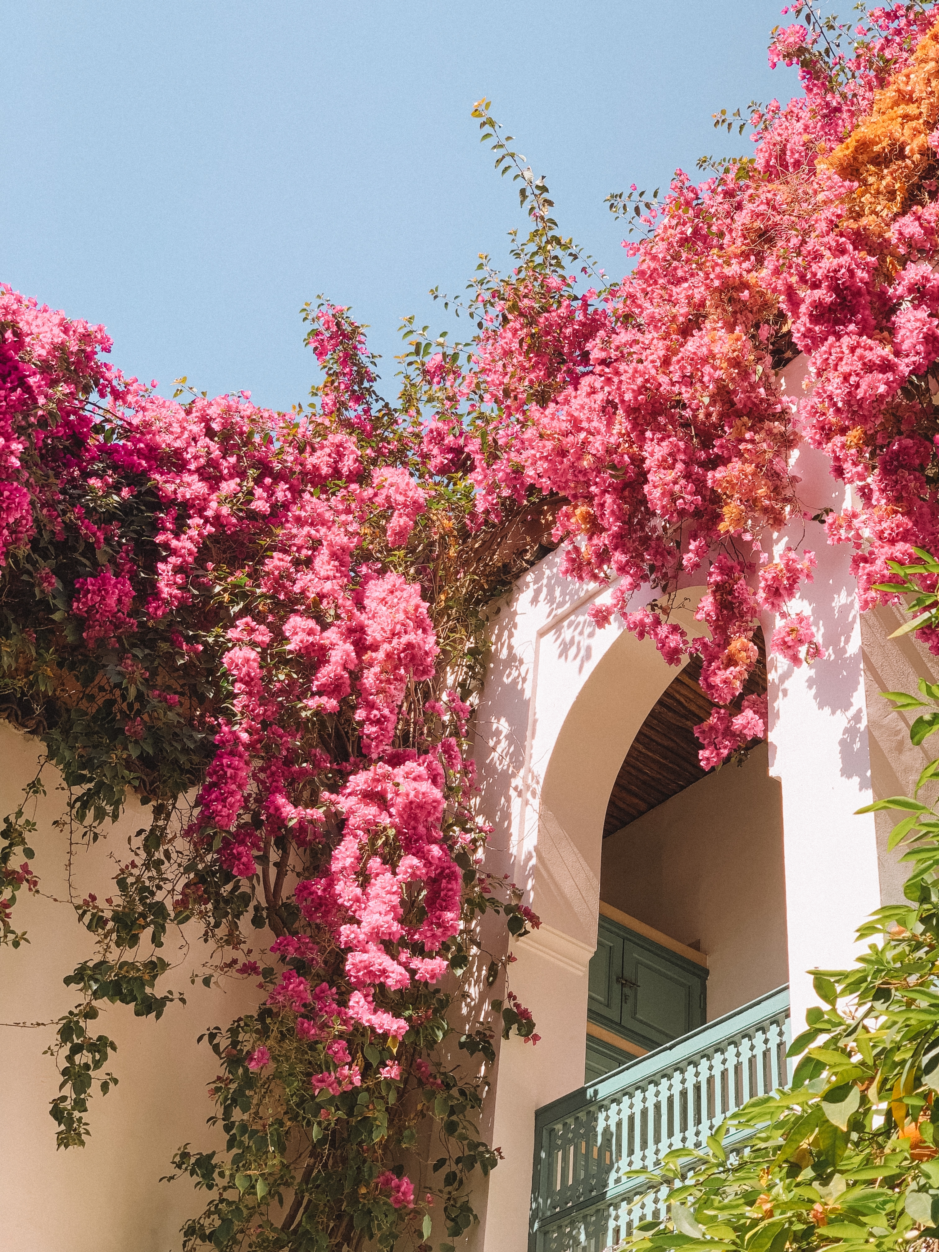 Smukke pink bougainvillea blomster over mediterran balkon med turkise skodder