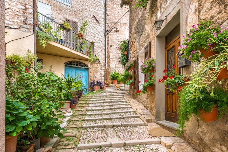 Charmerende stengade med blomsterkrukker i middelalderbyen Trevi, vores hyggelige base under elcykelrejsen gennem Umbriens smukke landskaber