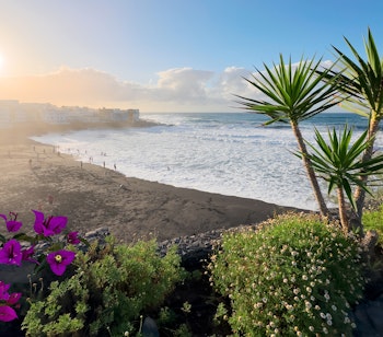 Den smukke Playa Jardin strand med sort vulkansk sand og vajende palmer i Puerto de la Cruz på Tenerife, med udsigt til den charmerende kystby og det azurblå Atlanterhav