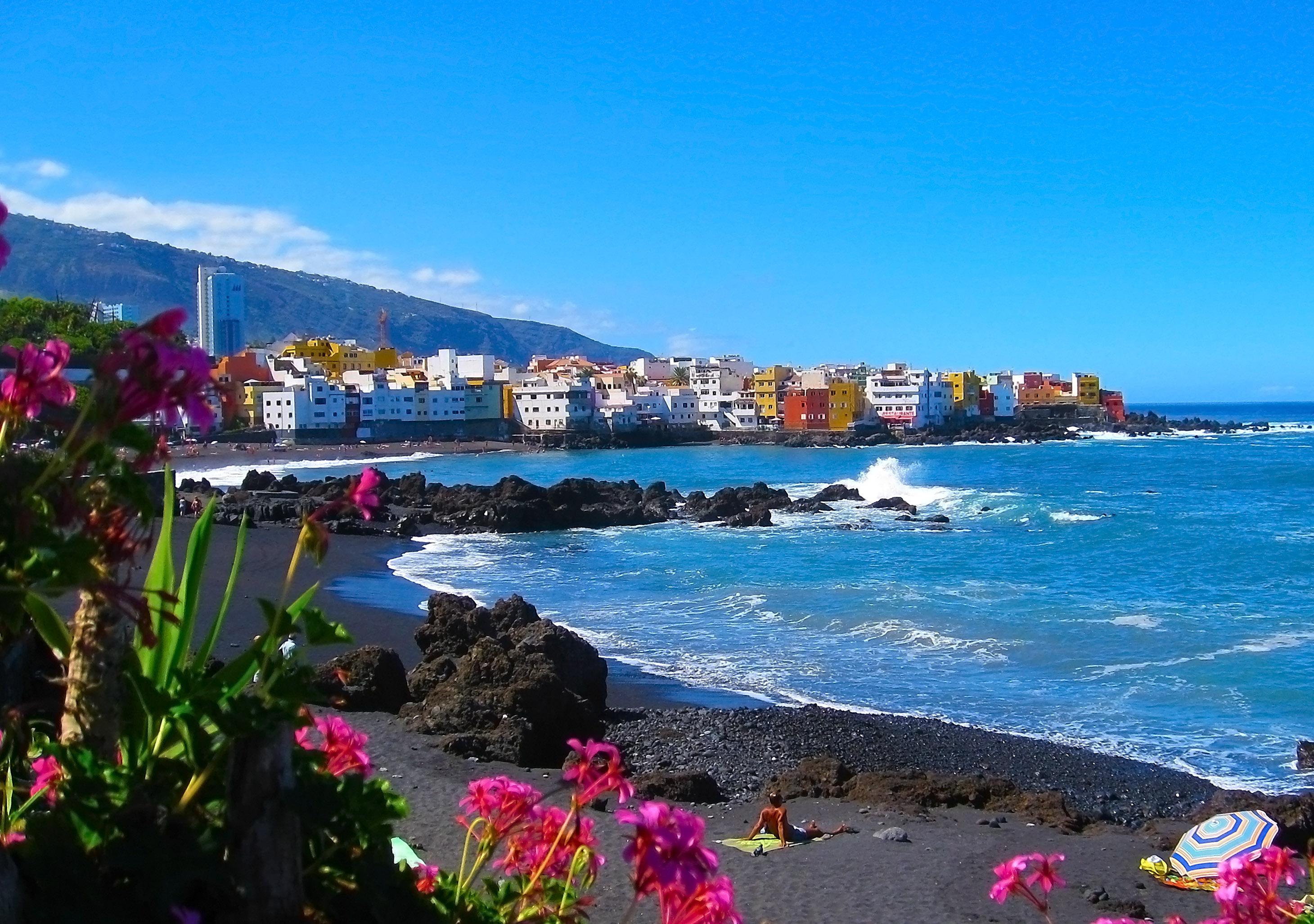 Udsigt over den sorte vulkanske strand Playa Jardin med farverige bygninger i Puerto de la Cruz, Tenerife, med lyserøde blomster i forgrunden
