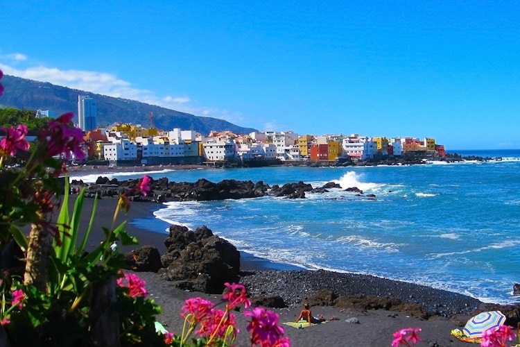 Udsigt over den sorte vulkanske strand Playa Jardin med farverige bygninger i Puerto de la Cruz, Tenerife, med lyserøde blomster i forgrunden