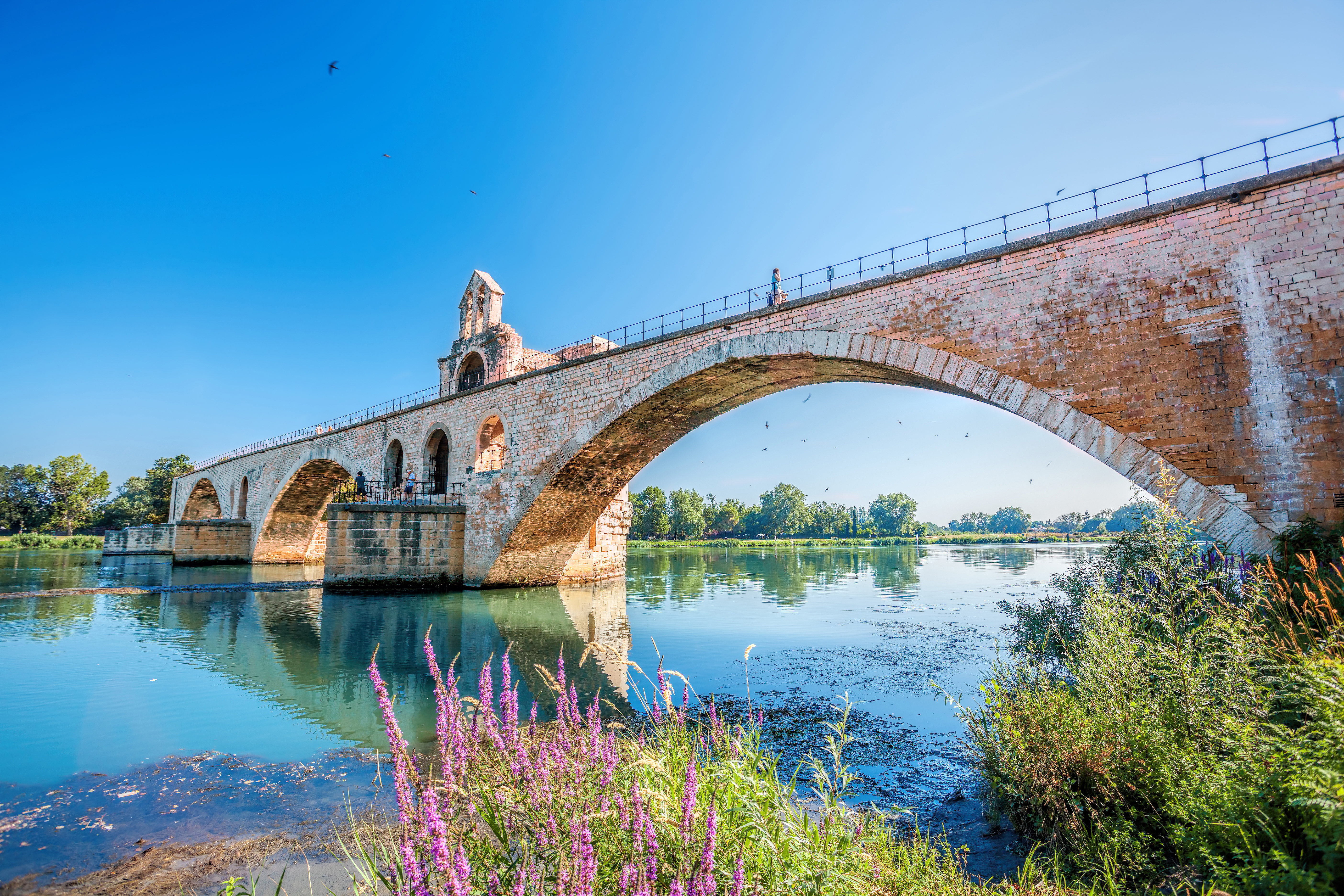 Den historiske Pont d'Avignon bro ved solnedgang over Rhône-floden i Provence, Frankrig