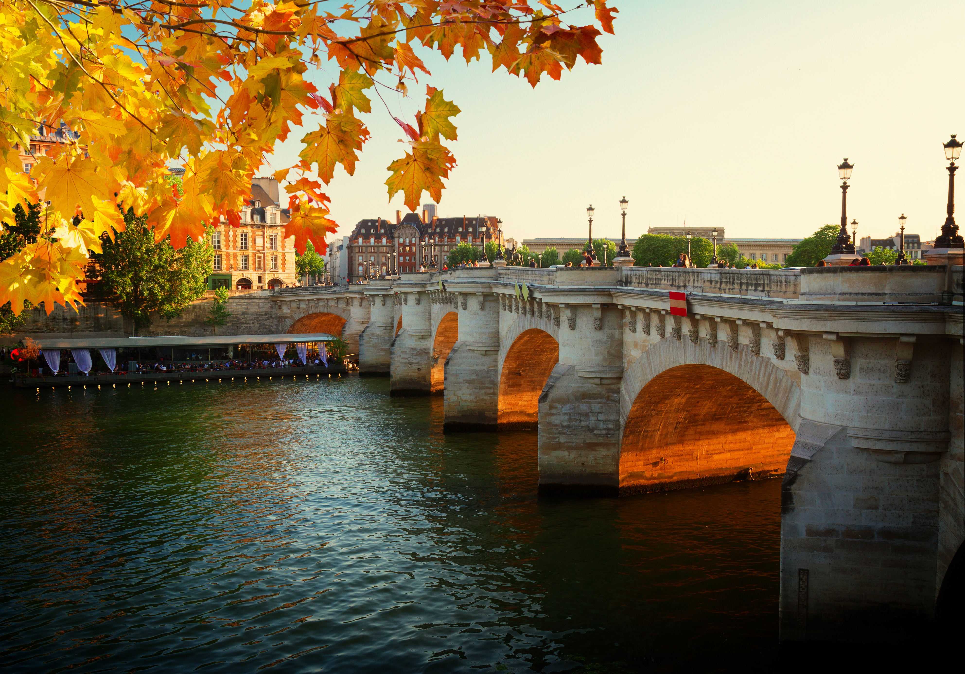 Den historiske Pont Neuf bro over Seinen i Paris med gyldne efterårsblade og klassisk fransk arkitektur