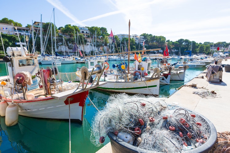 Den charmerende marina i Porto Cristo på Mallorca med turkisblåt vand, farverige både og den idylliske middelhavsatmosfære ved den spanske ferieø