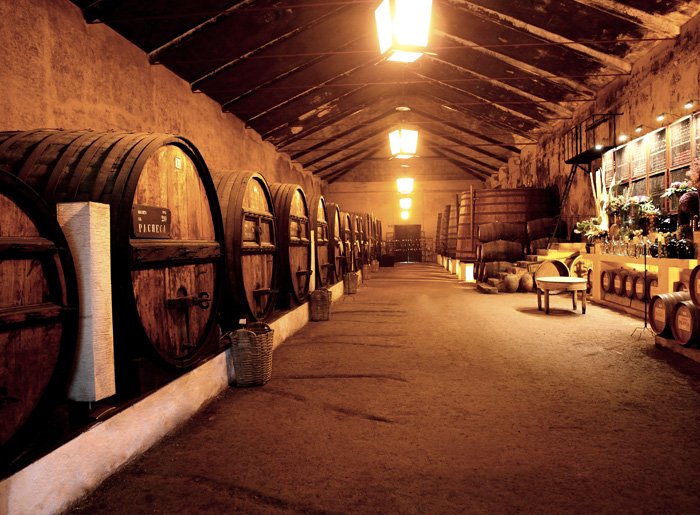 portugal-douro-quinta-pacheca-smilrejser-001
