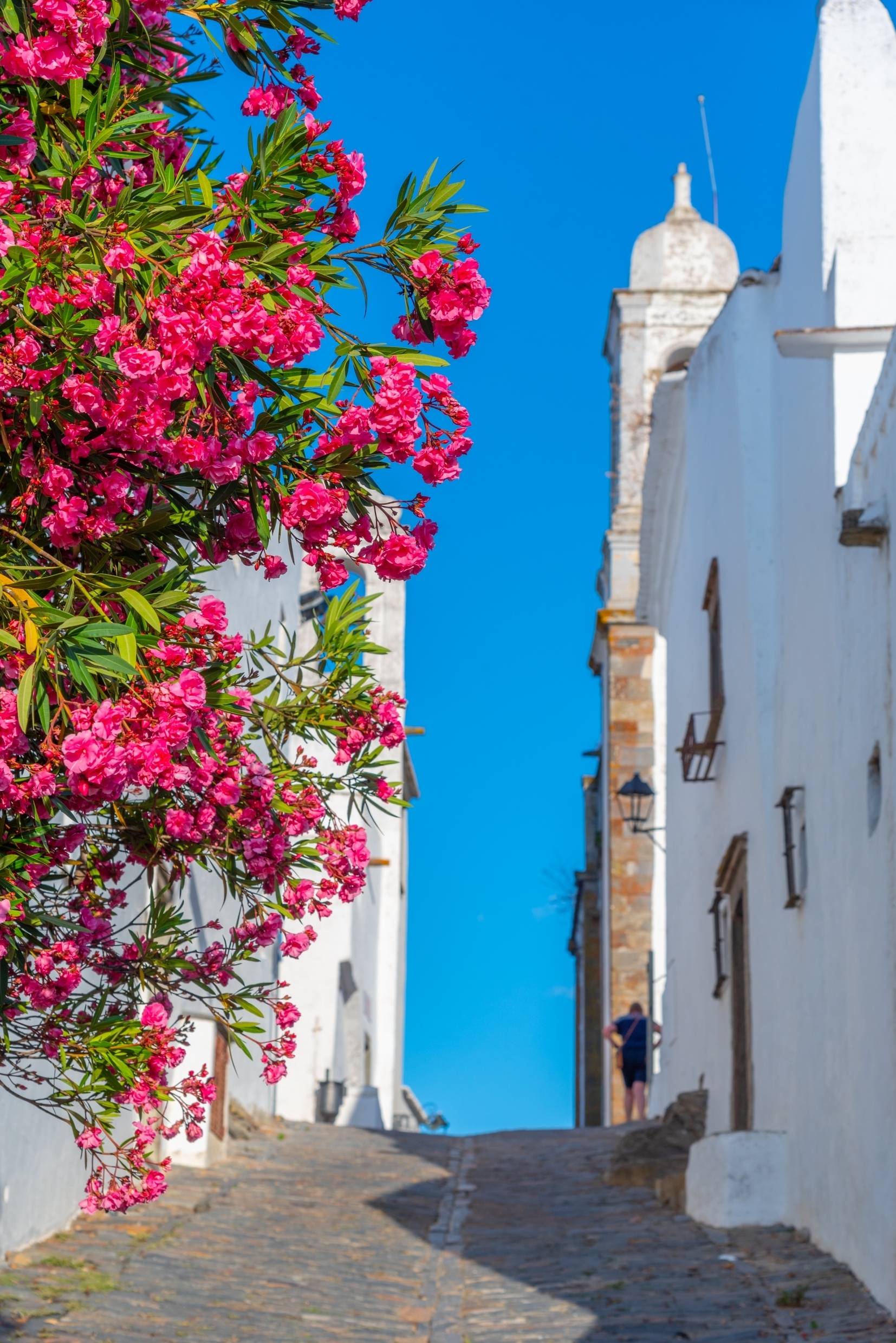 Smuk portugisisk landsby med hvidkalkede huse og lyserøde bougainvillea blomster