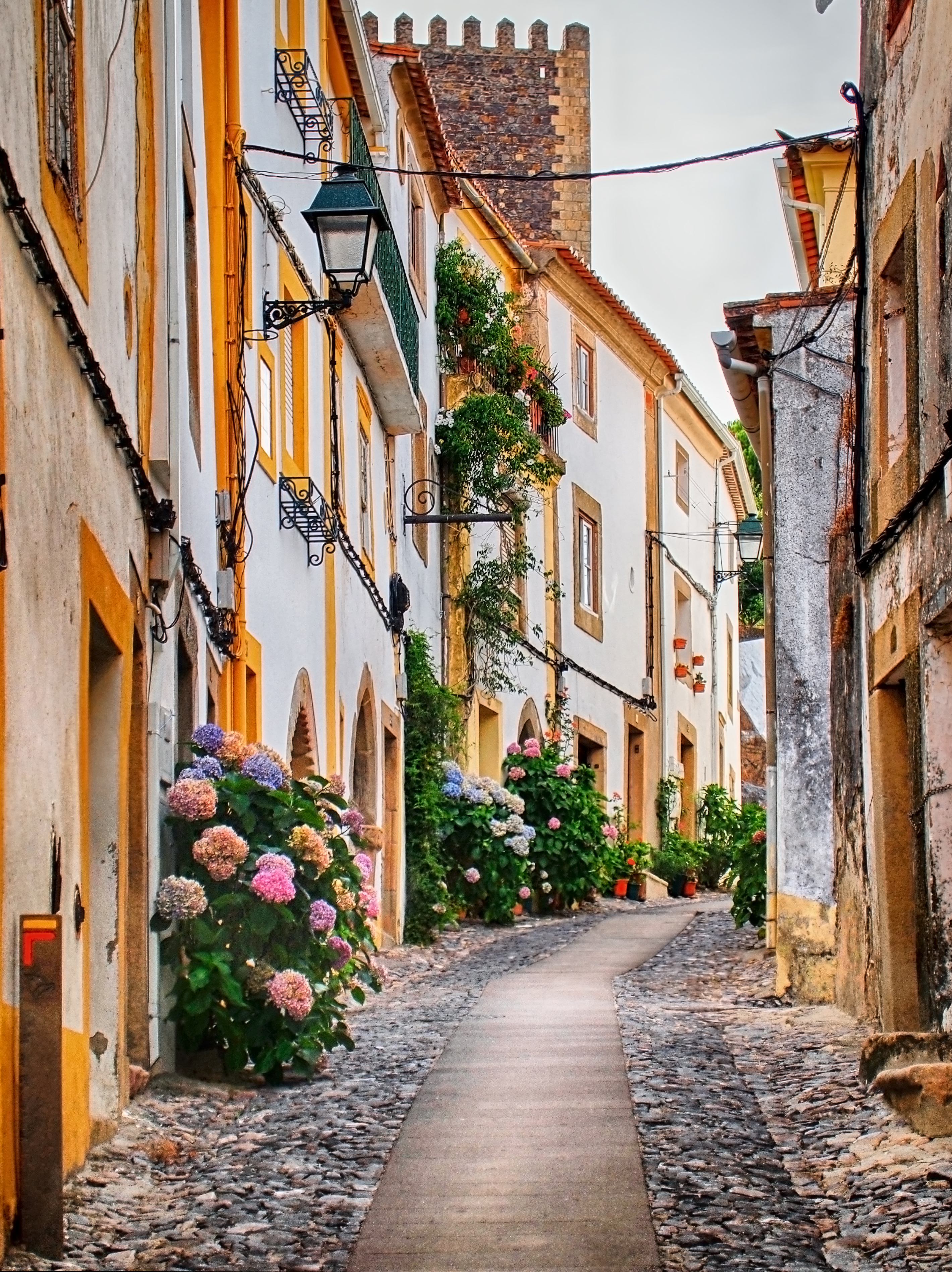 Charmerende brosten gade i middelalderlig portugisisk landsby med farverige huse og blomstrende hortensiaer