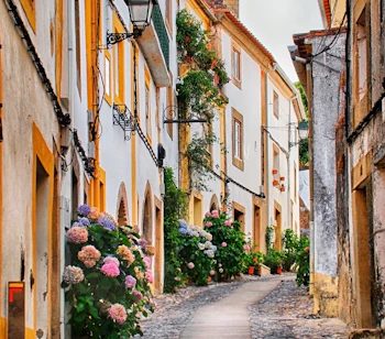 Charmerende brosten gade i middelalderlig portugisisk landsby med farverige huse og blomstrende hortensiaer