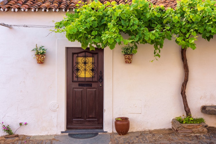 Traditionel portugisisk husindgang med træ dør og vinranker i Monsaraz landsby