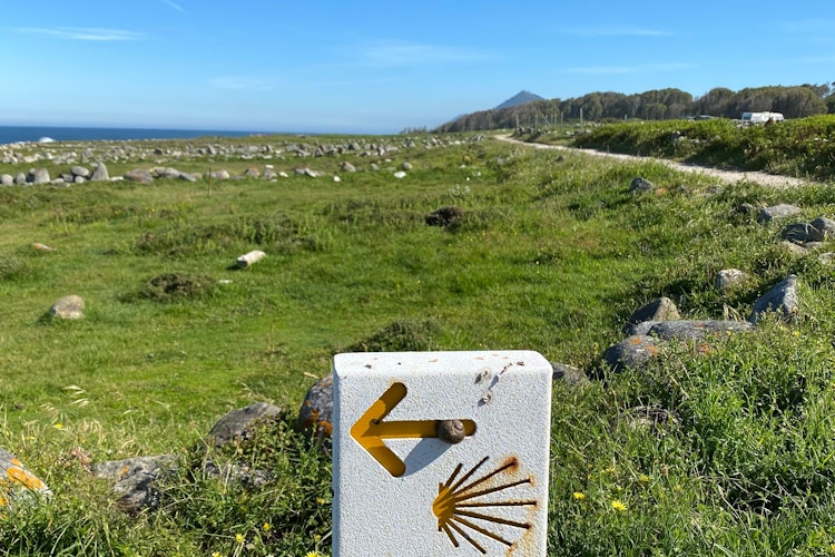 Gul pil og muslingesymbol markerer den portugisiske kyst-camino langs Atlanterhavskysten i Vila Praia de Ancora, Portugal