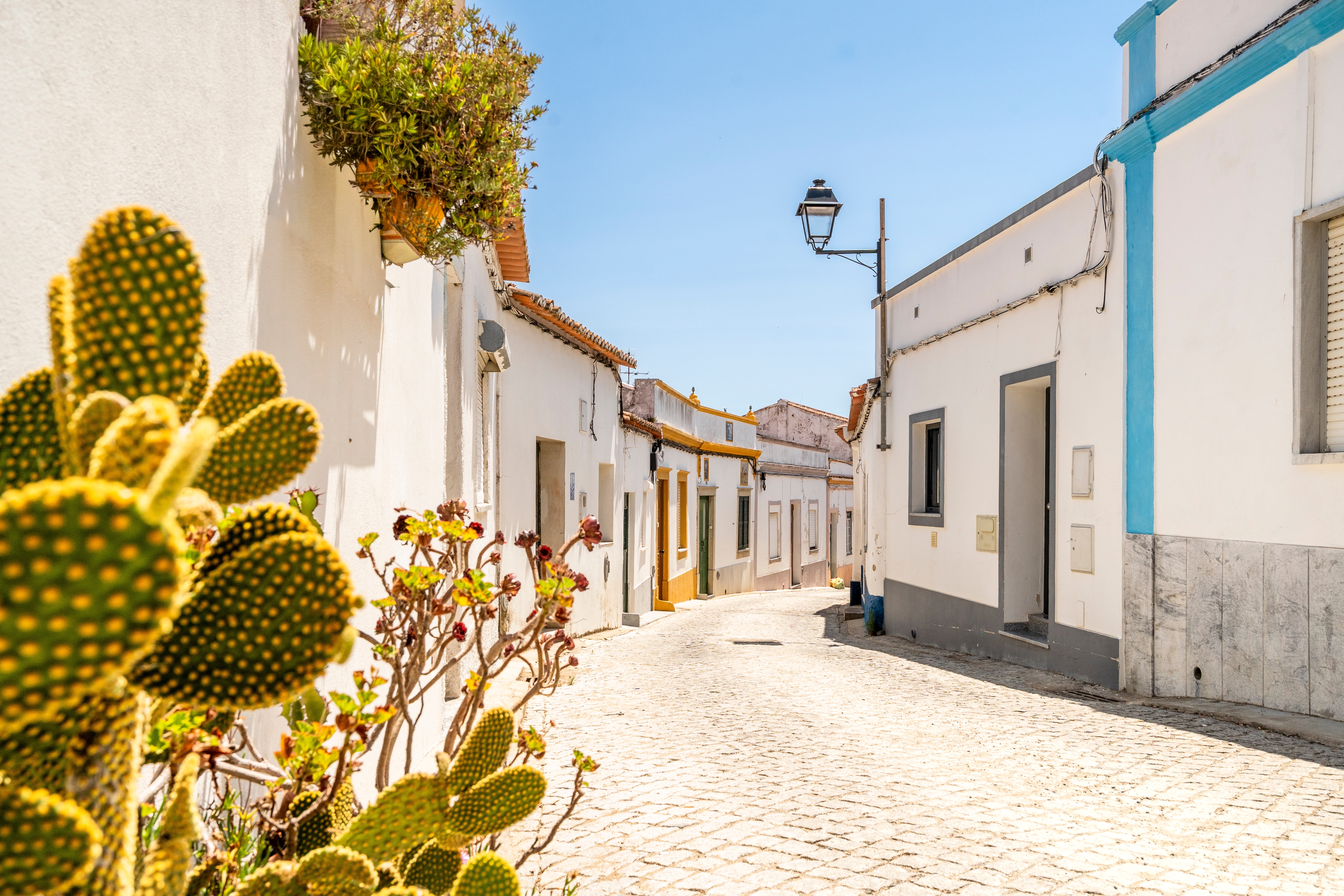 Traditionel portugisisk gade med hvide huse og brosten i Alentejo