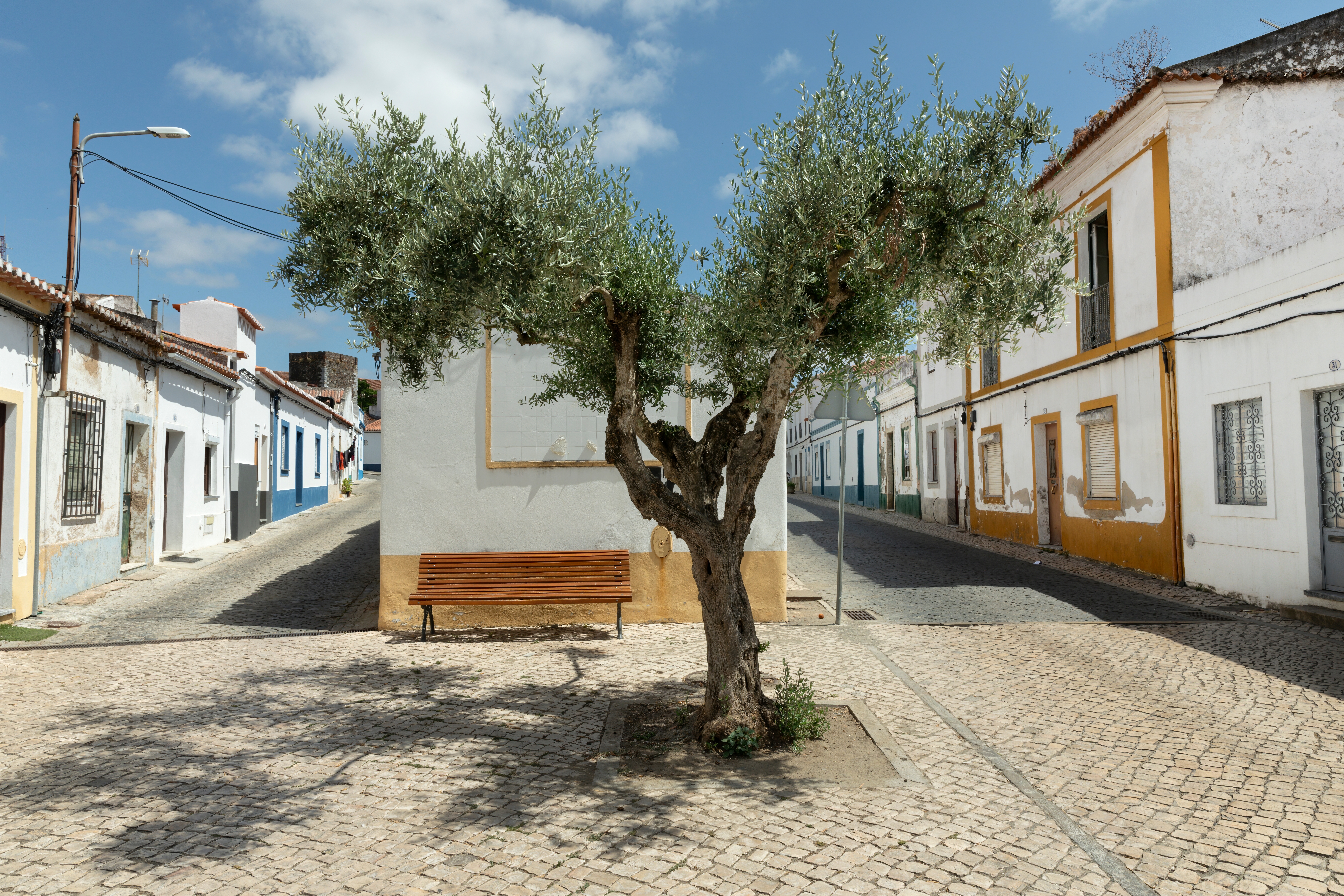 Traditionel portugisisk landsby med oliventræ og farverige huse i Alentejo
