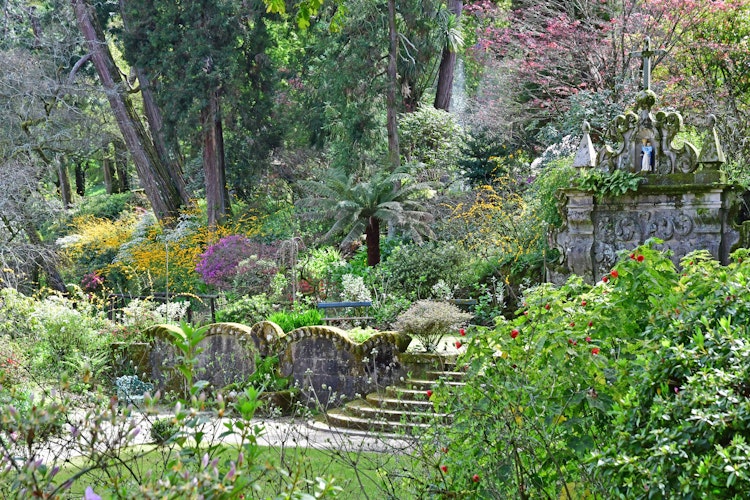 Historisk portugisisk quinta-have med terrasserede stenmure og frodig middelhavs-vegetation i vinregion