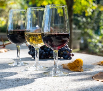 Udendørs smagning af forskellige årgange portvin i glas under solrigt efterårsvejr i Douro Valley, Portugal, en autentisk vinoplevelse