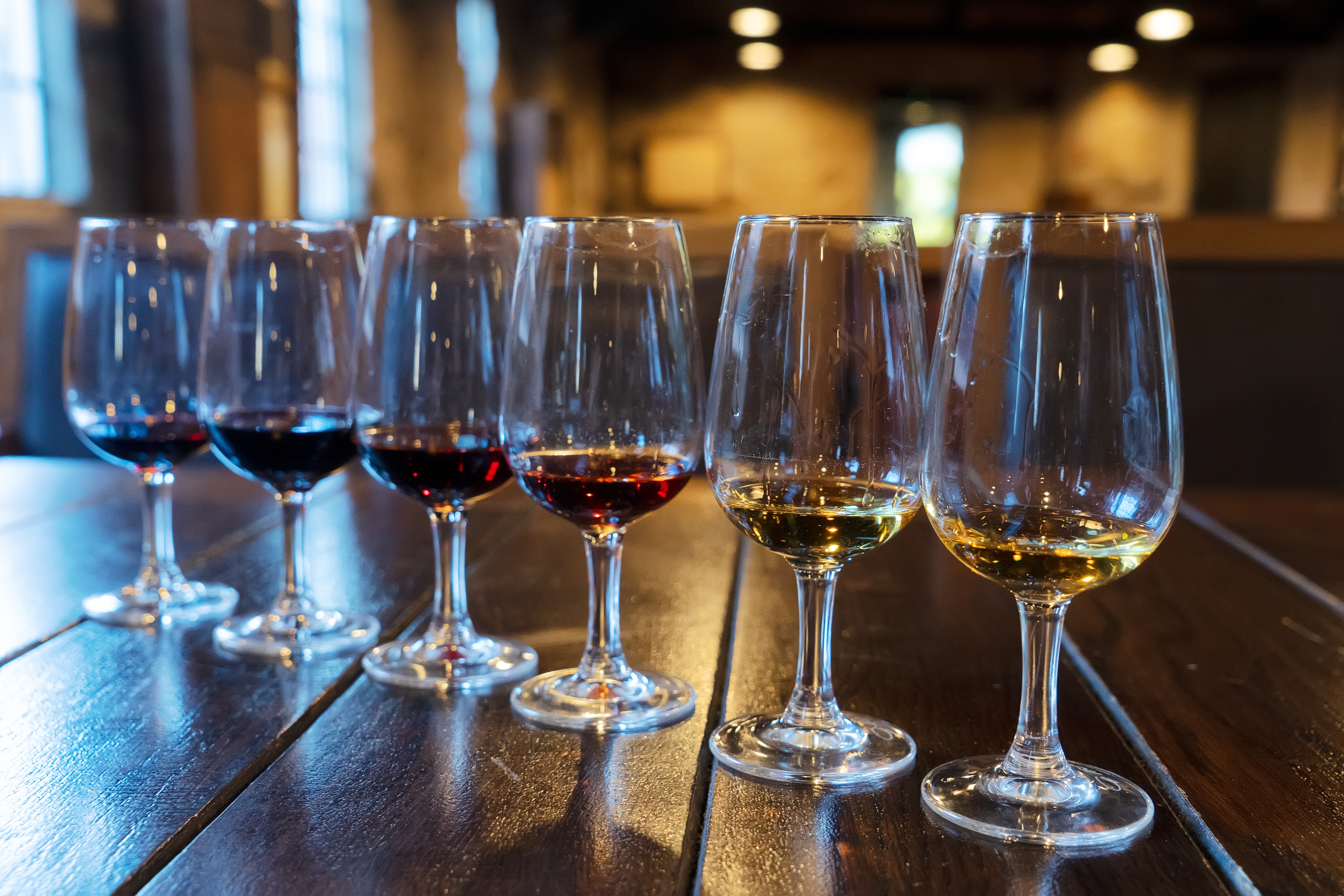 Portvin smagning med røde og hvide vine i elegante glas på træbord i vinkælder i Porto, Portugal