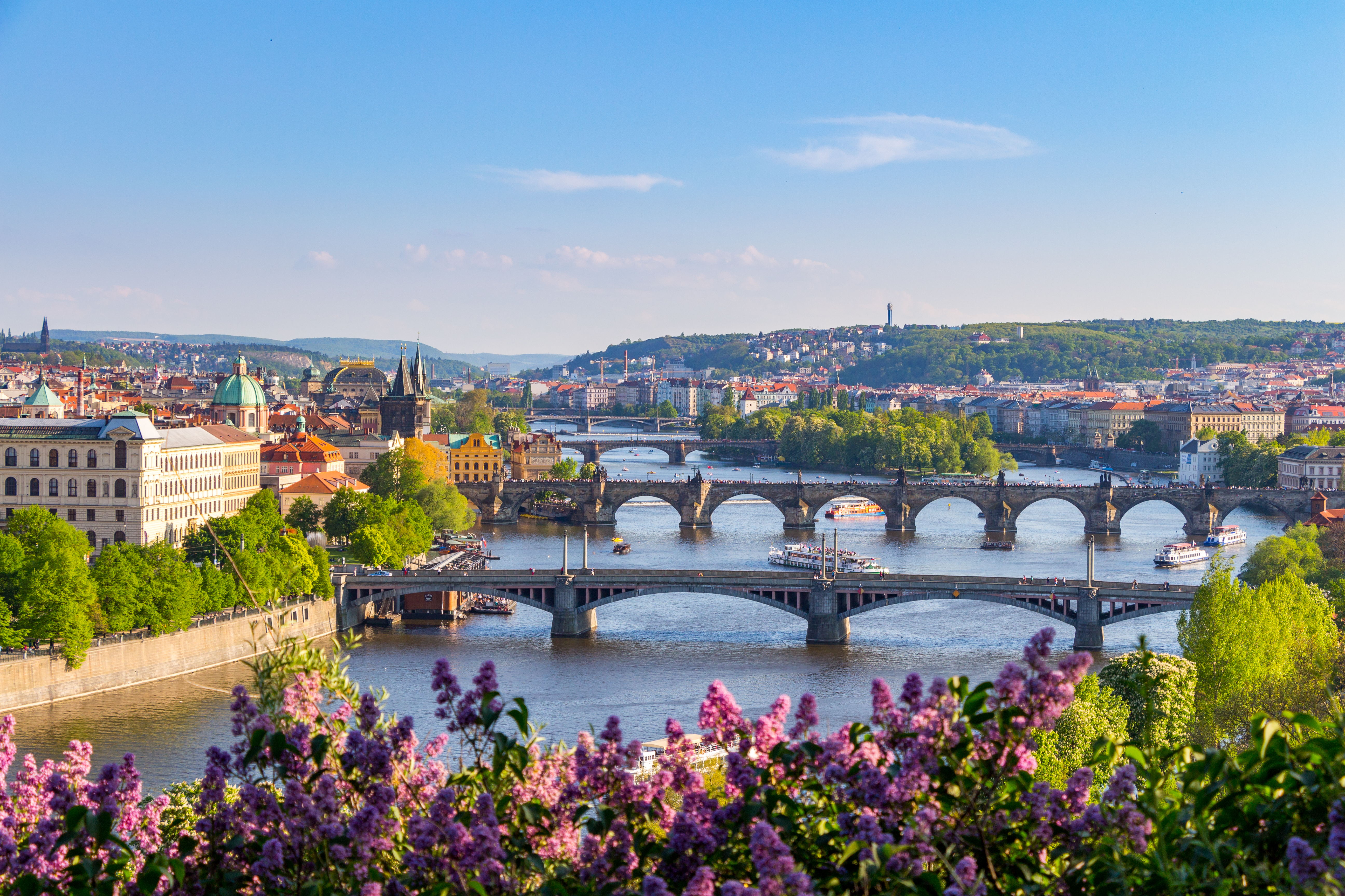 Prahas smukke broer over Vltava-floden med historisk arkitektur og lilla syrenblomster i forgrunden om foråret