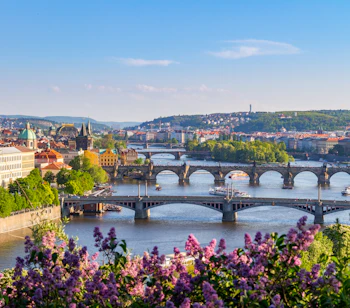 Prahas smukke broer over Vltava-floden med historisk arkitektur og lilla syrenblomster i forgrunden om foråret