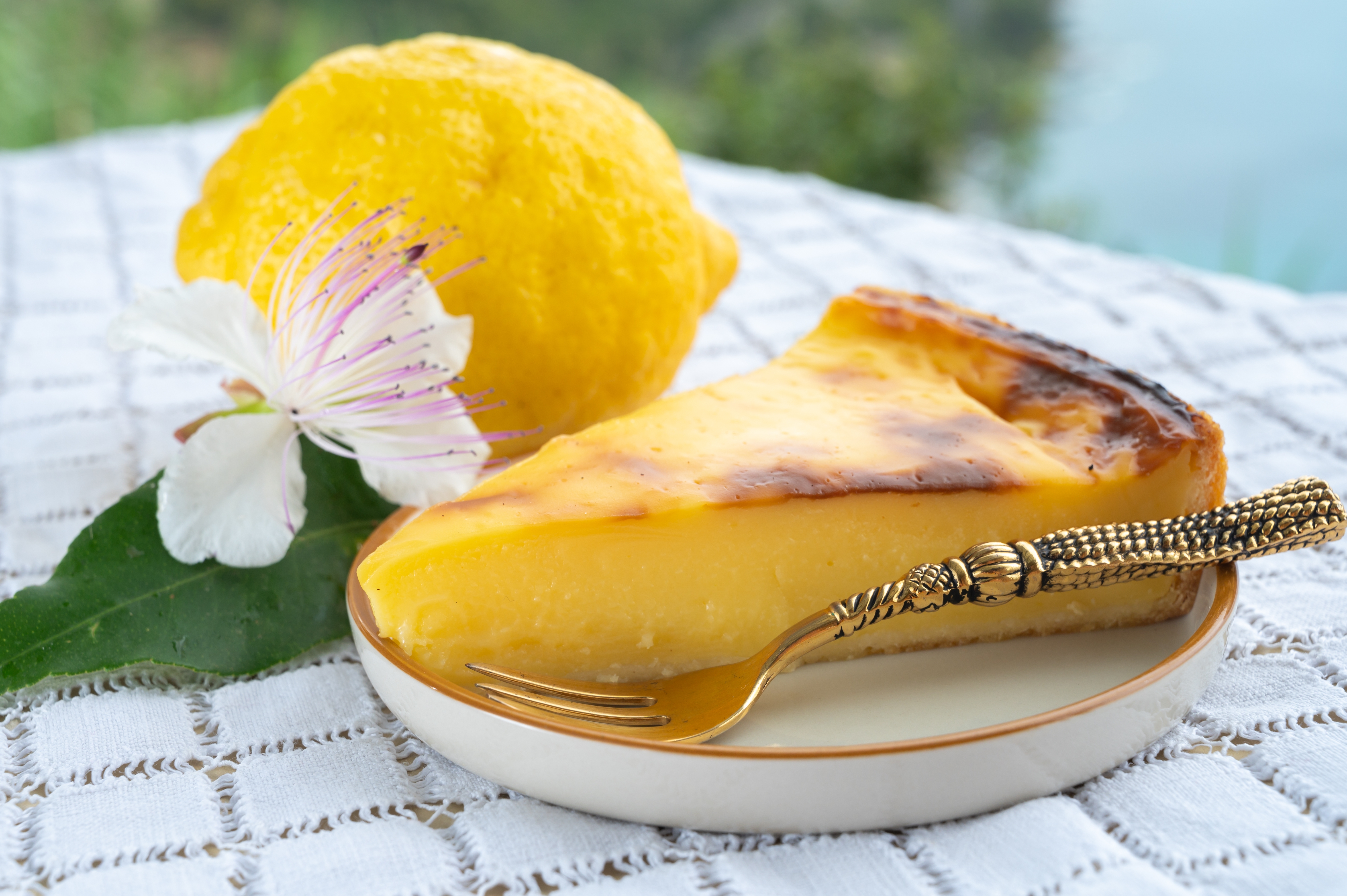 Klassisk fransk citron flan dessert med gyldent karamelliseret top serveret på en hvid tallerken med dekorativ gaffel, frisk citron og hvid blomst, typisk sød delikatesse fra Provence og den franske Riviera nær Monaco og Menton