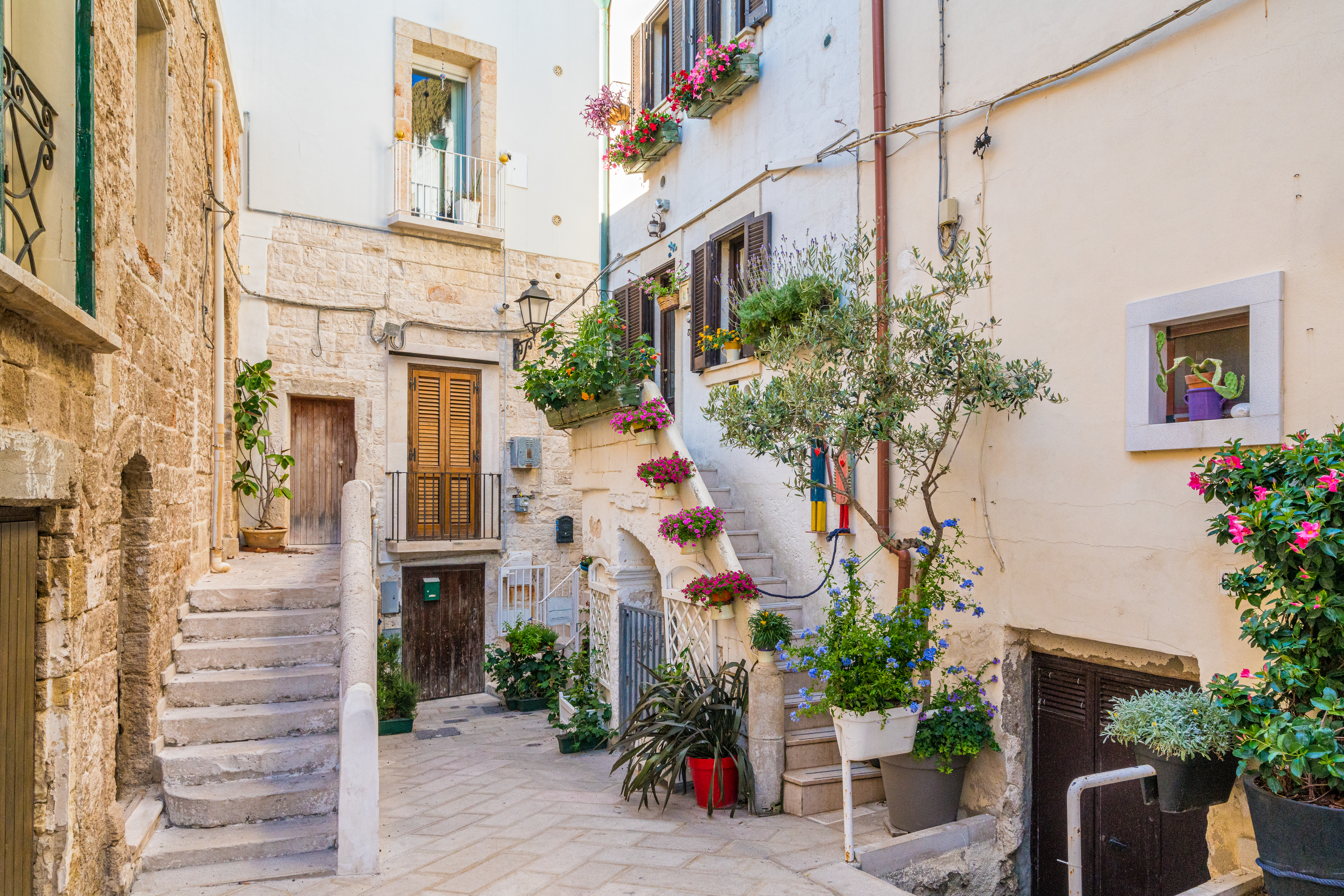 Traditionel italiensk landsby med hvide stenhuse og farverige blomster i Puglia