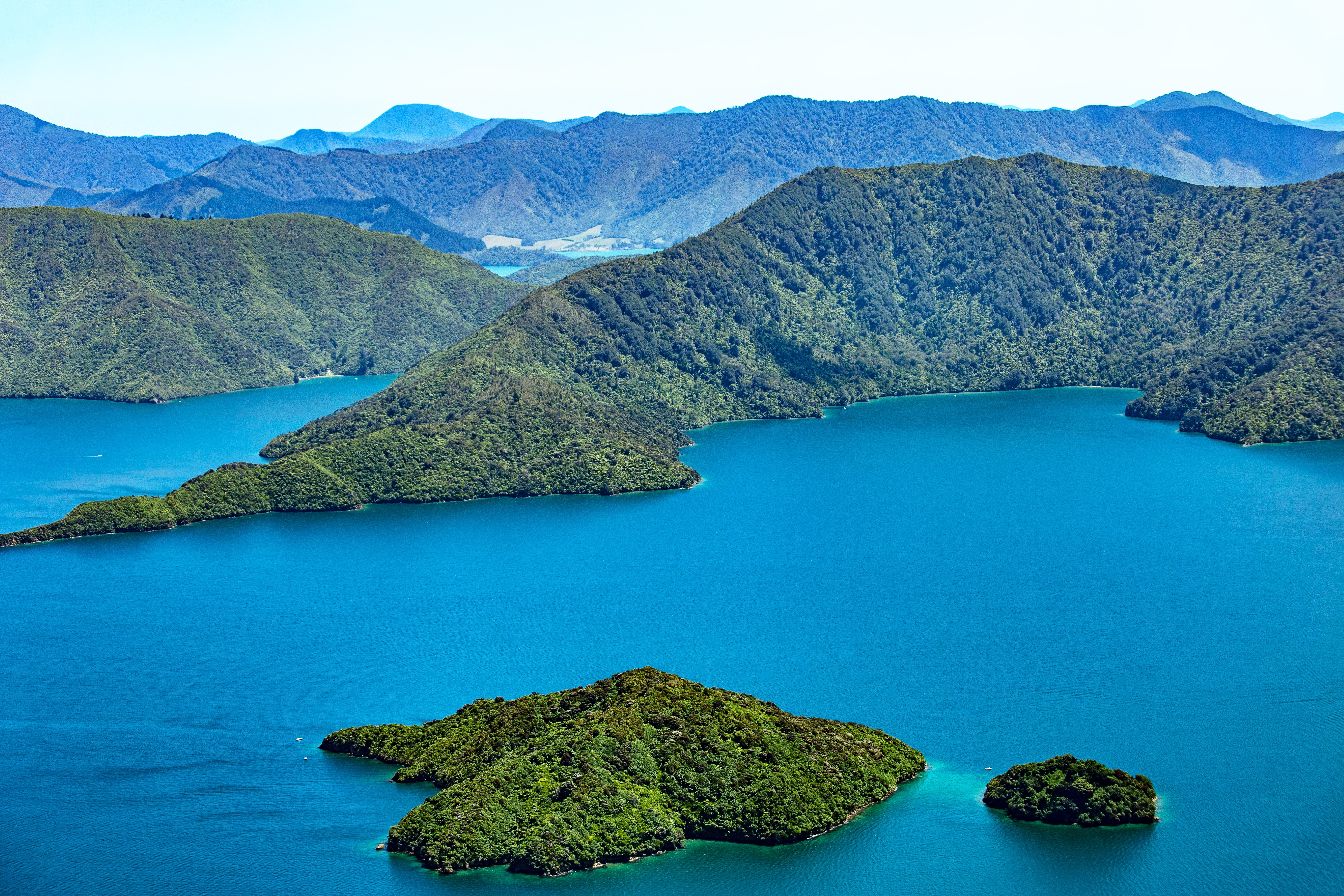 Luftfoto af Allports Island og Queen Charlotte Sound i Marlborough Sounds på New Zealands Sydø med turkisblåt vand og grønne bjerge