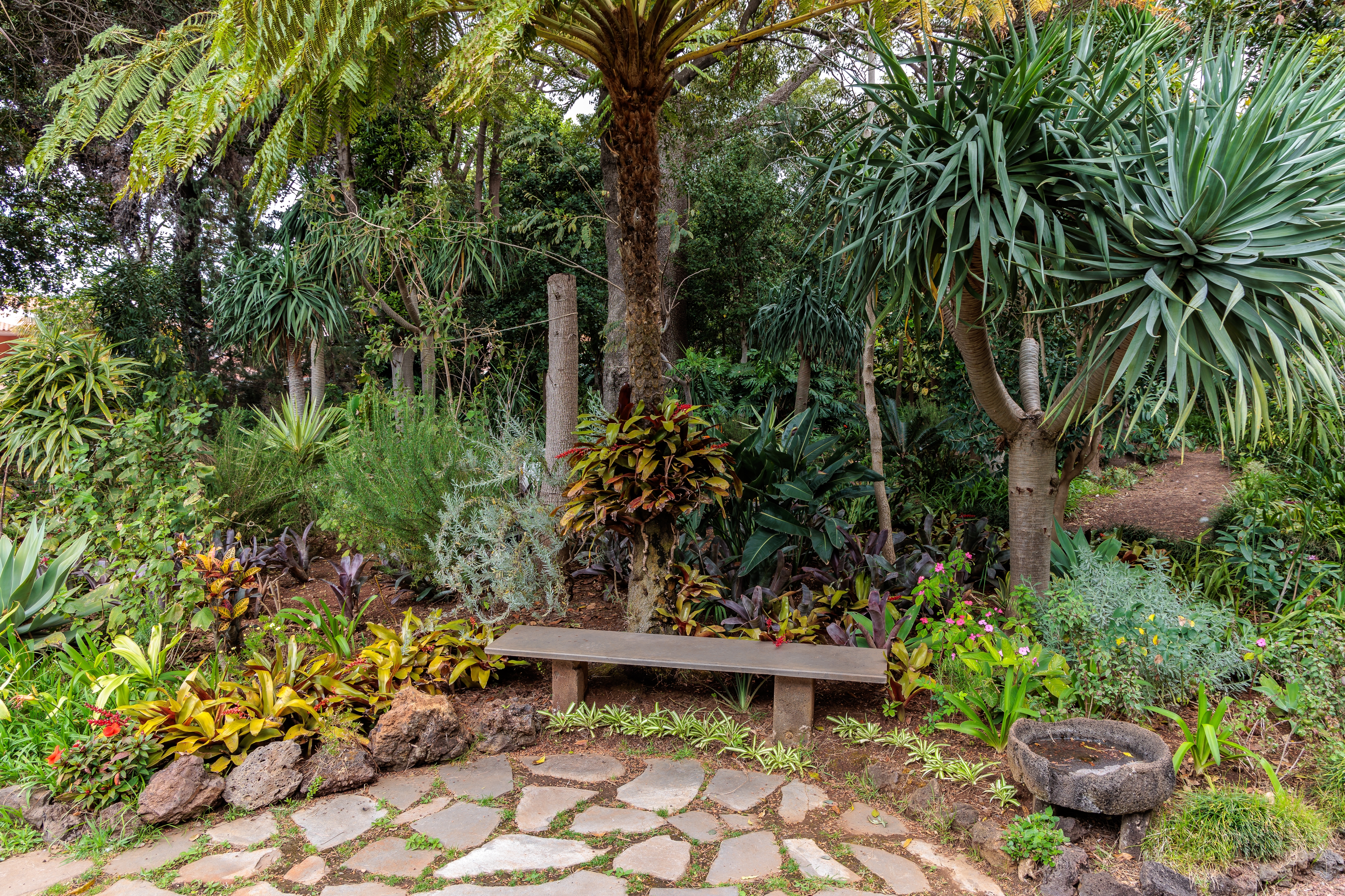 Frodig botanisk have med farverige blomster i Quinta Splendida på Madeira