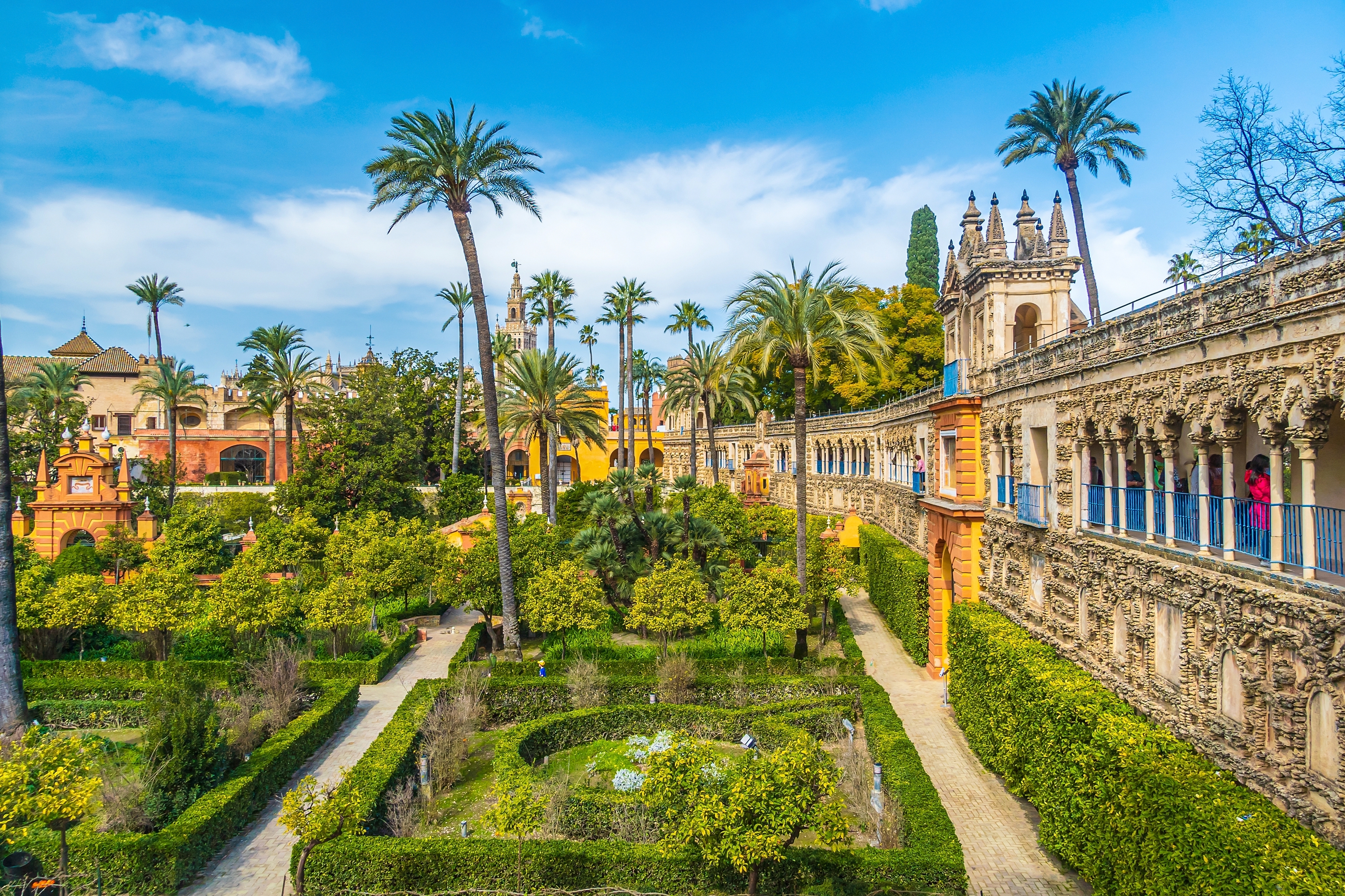 Smukke haver ved det kongelige Alcazar-palads i Sevilla med frodig vegetation, palmer og elegante stier - oplev den unikke blanding af maurisk og spansk arkitektur i dette UNESCO-verdensarvssted i Andalusien, Spanien