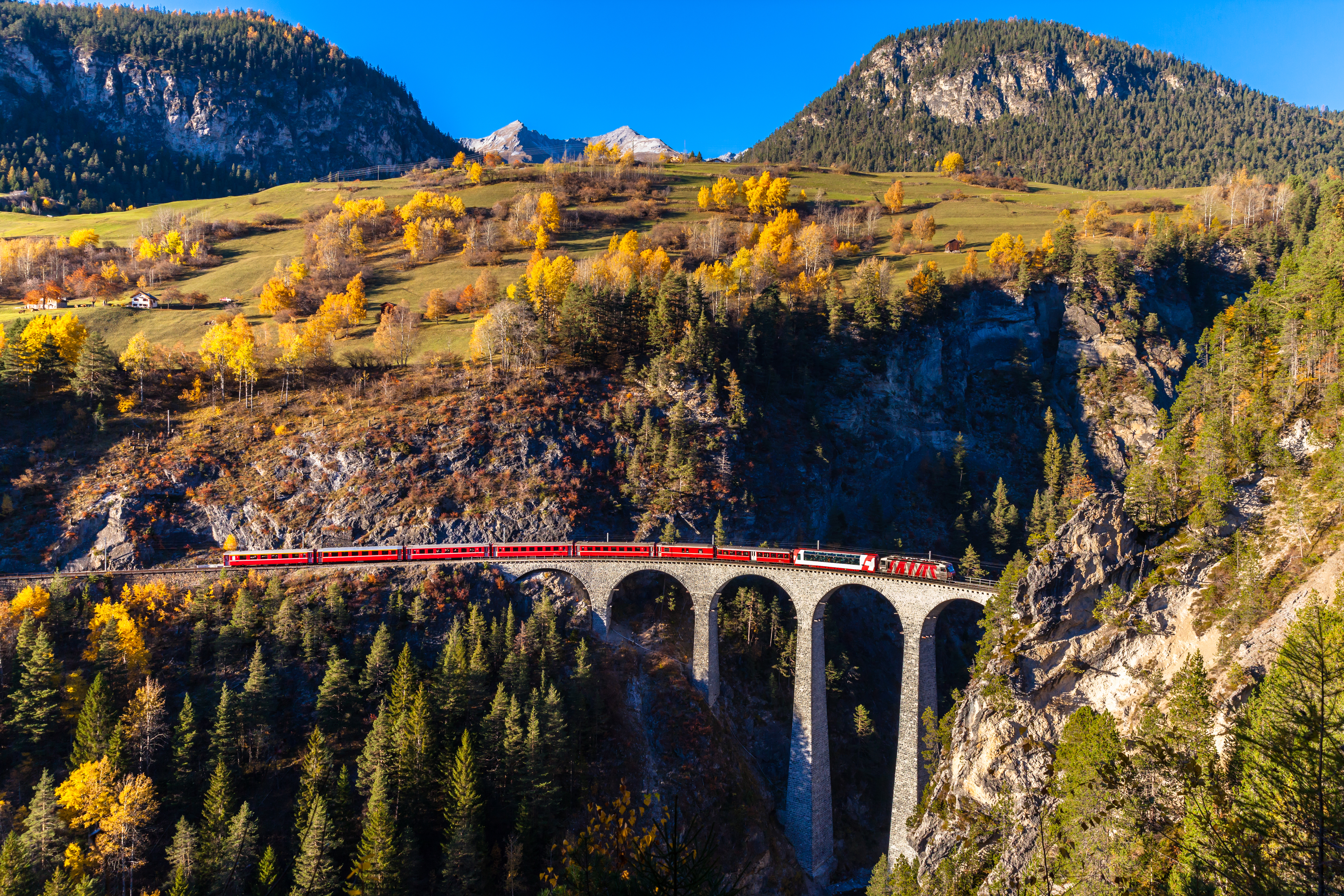 Rødt tog på det berømte Landwasser Viadukt omgivet af farverige efterårsfarvede træer i de schweiziske alper i Graubünden