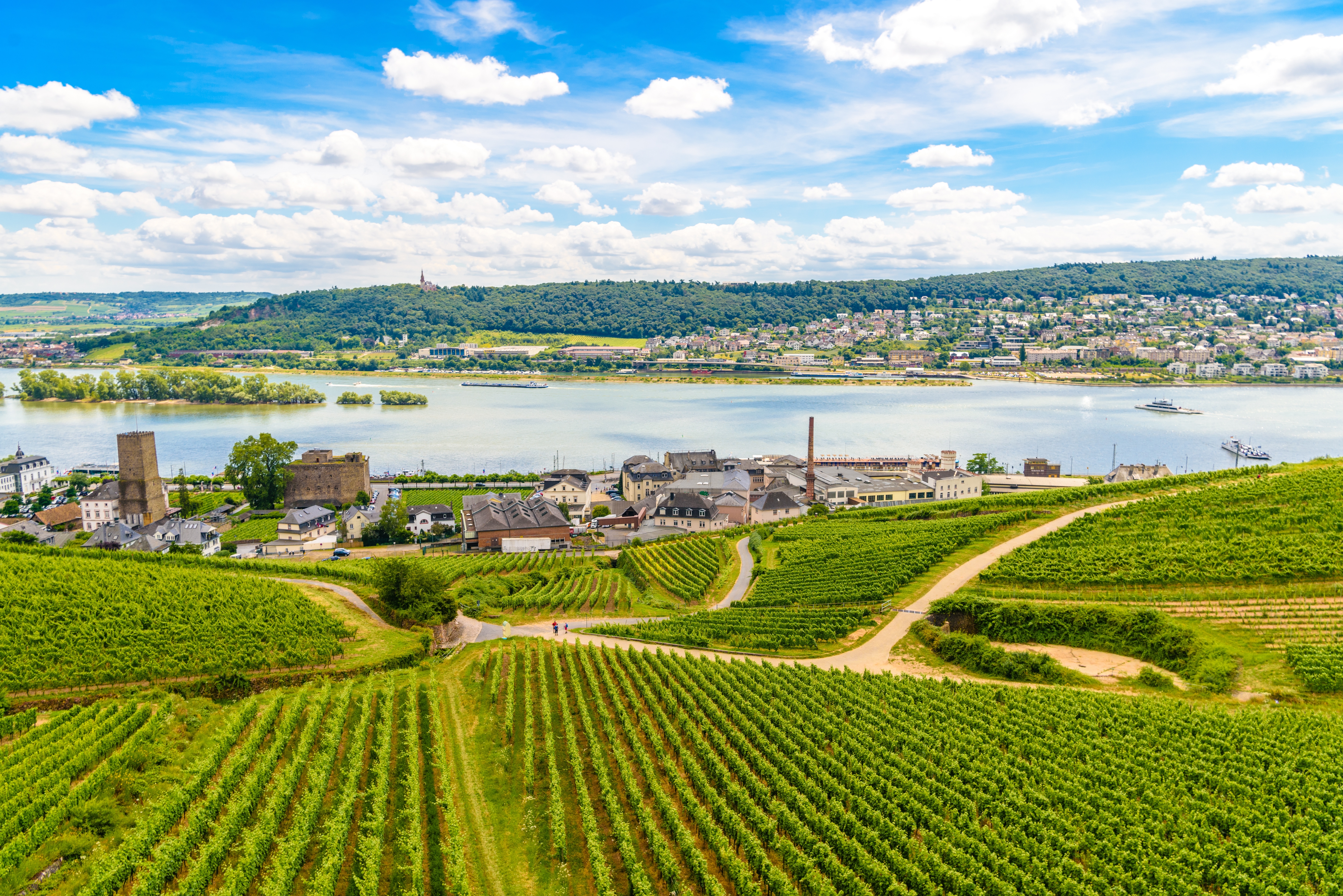 Luftfoto af Rhinen-dalen med vinmarker og Rüdesheim by i Tyskland