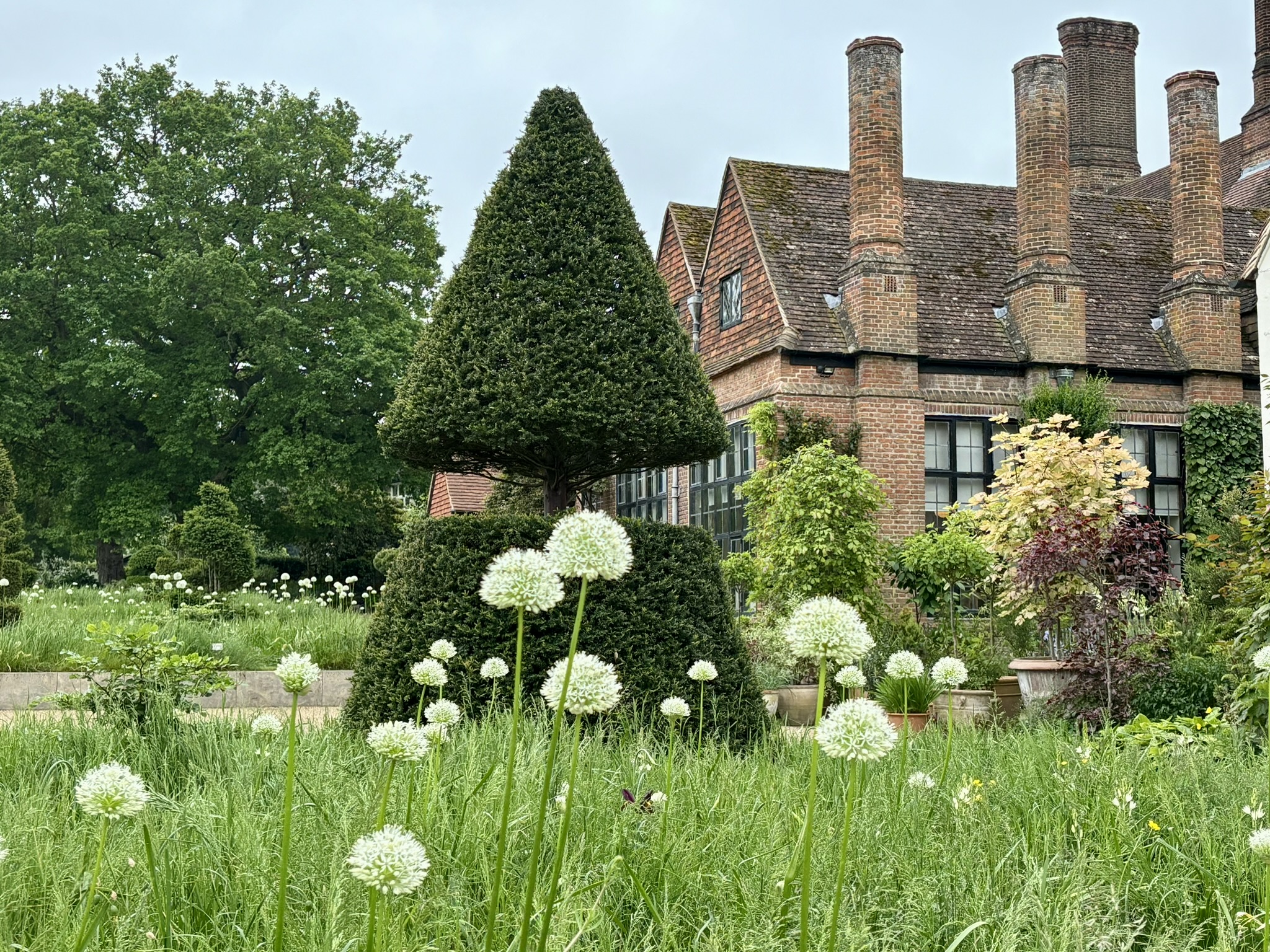 rhs-wisley-garden-smilrejser