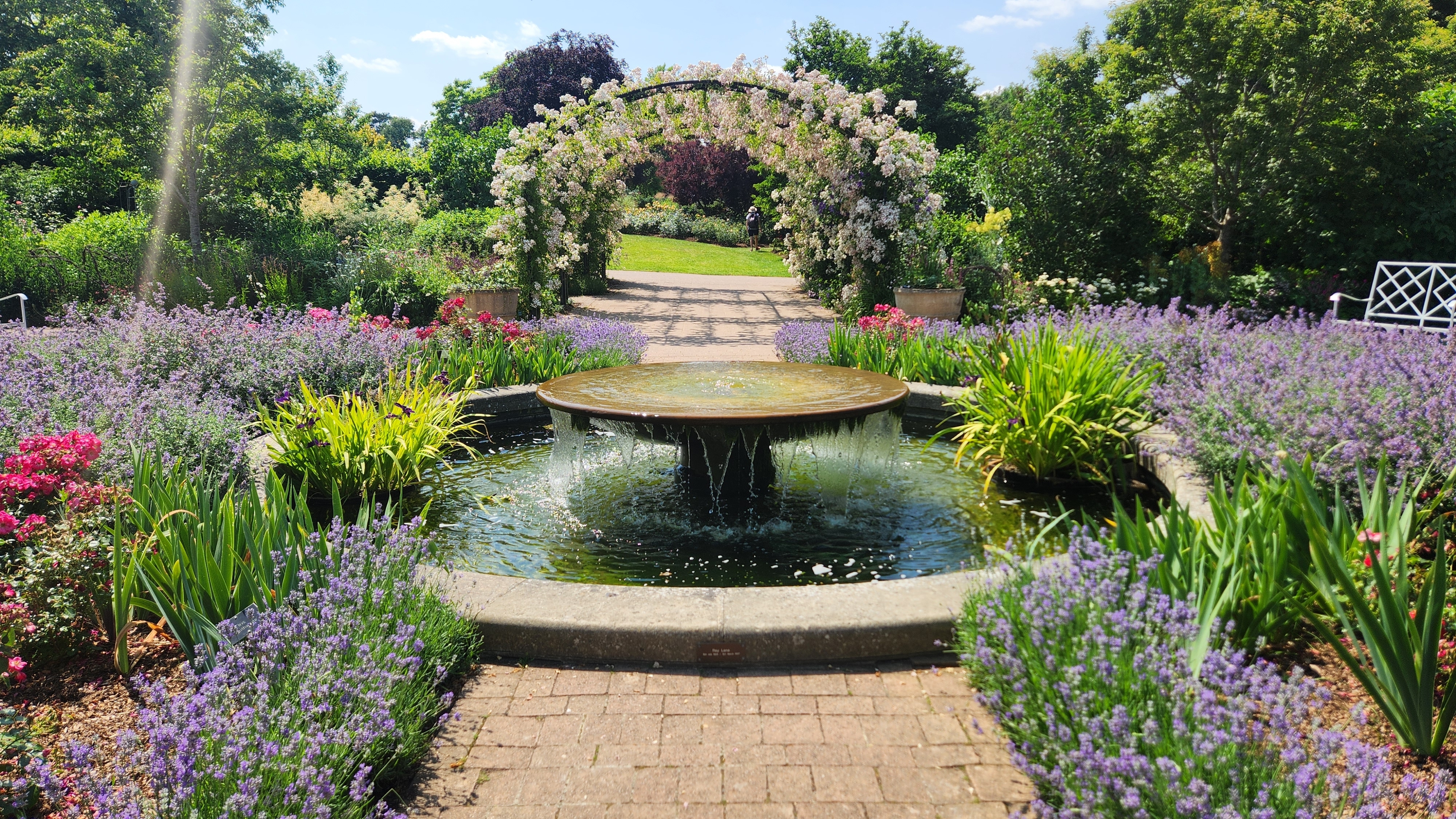 Smuk engelsk have i RHS Wisley med rund fontæne omgivet af lavendel og farverige blomster under en hvid rosebuebue på en solrig sommerdag