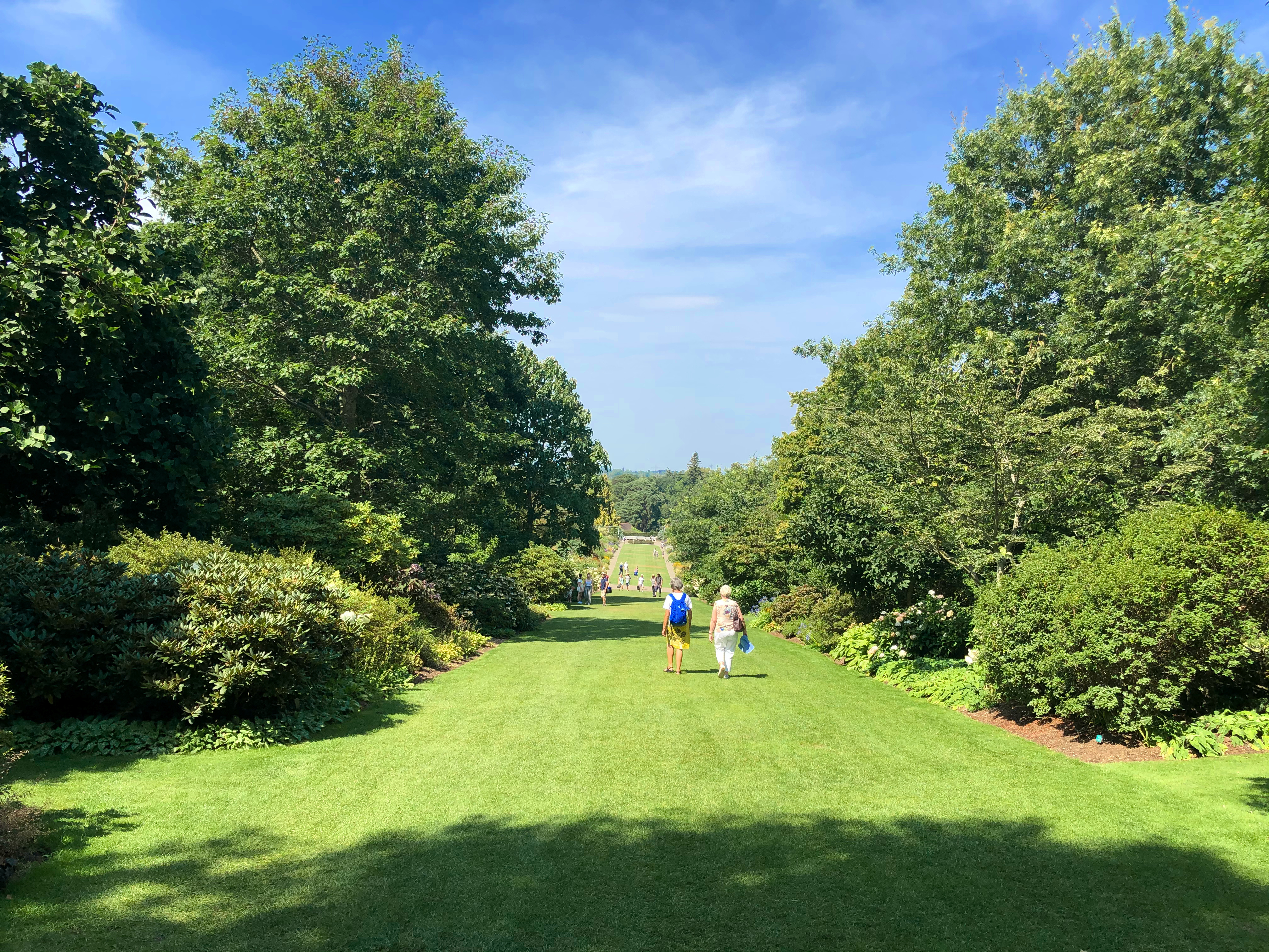 Besøgende går langs en frodig grøn havesti i RHS Wisley Garden i Surrey, England, omgivet af høje træer og blomstrende buske på en solrig sommerdag