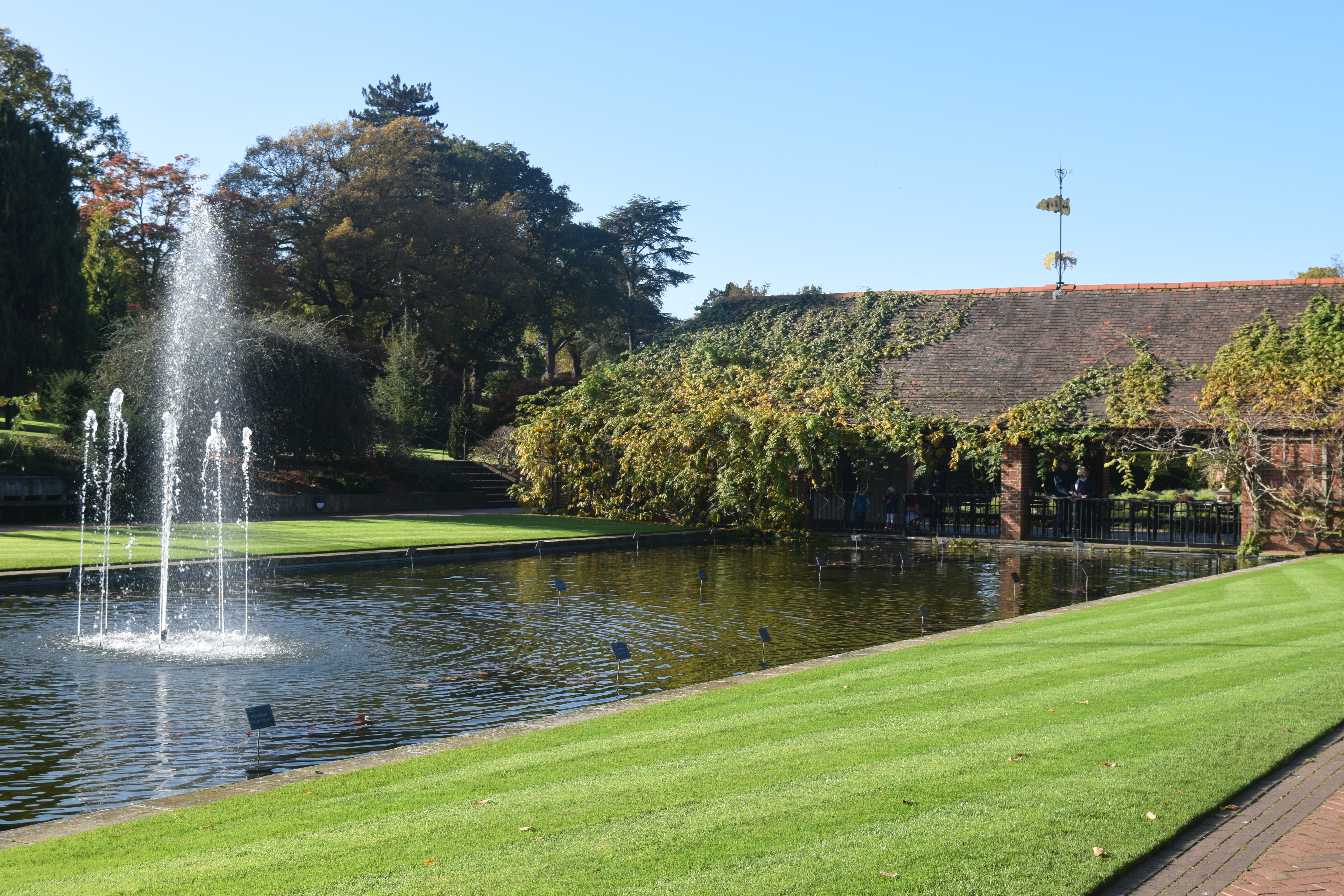 Smuk fontæne og ornamental sø i RHS Wisley Gardens i Surrey, England, omgivet af grønne plæner og efterårstræer på en solrig dag