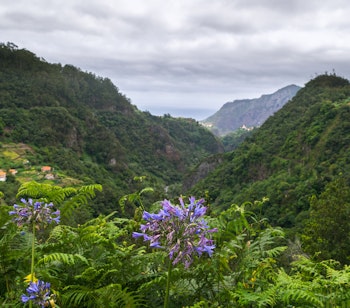Frodigt grønt landskab i Ribeiro Frio på Madeira med lilla blomster og betagende bjergkig under en overskyet himmel