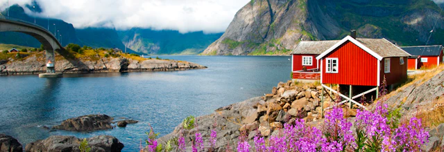 Traditionelle rode fiskerhuse ved havnen i Lofoten med lilla blomster, dramatiske bjerge og blaat fjordvand i Norge