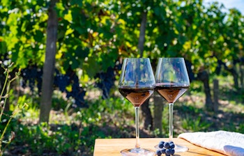 To glas rød Bordeaux vin med vindruer og smukke vinmarker i Pomerol, Saint-Emilion vinregion i Frankrig