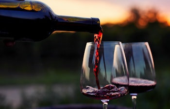 Rødvin hældes i glas i en smuk vingård ved solnedgang under en vinsmagningsoplevelse