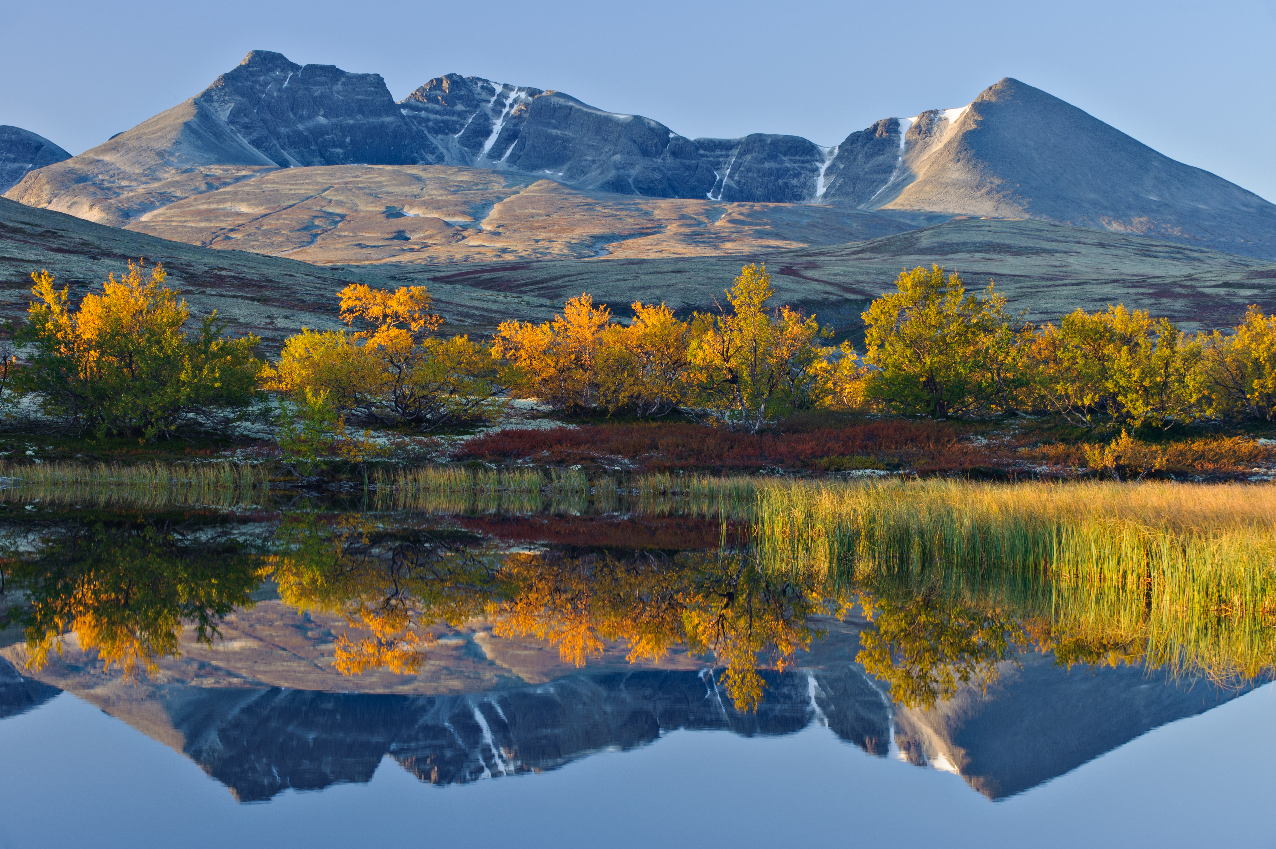 Perfekt spejling af Rondslottet-bjerget i en stille sø omgivet af gyldne efterårsfarver i Rondane Nationalpark i Norge