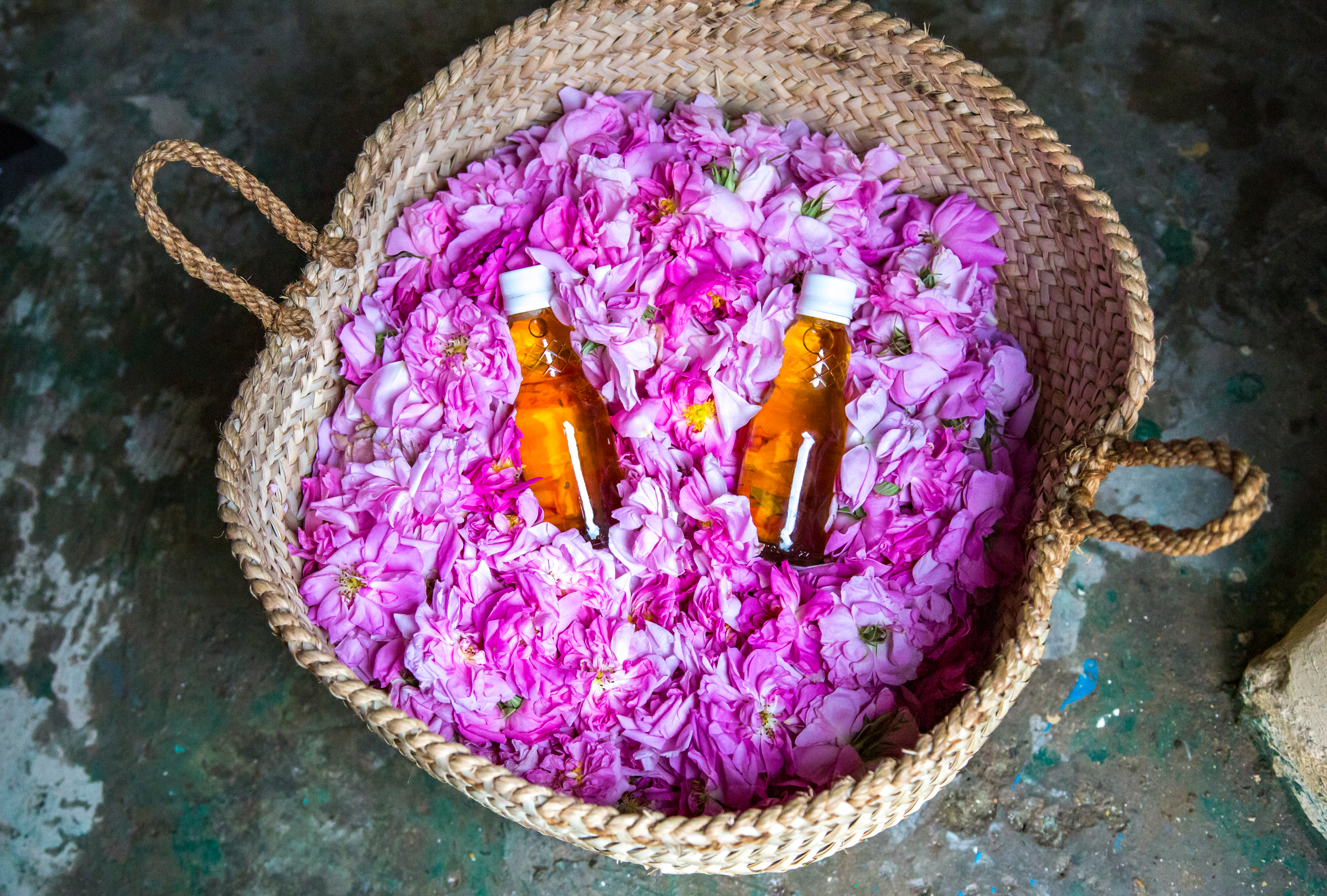 Traditionelle flasker med rosenvand omgivet af rosenblade fra Jebel Akhdar bjergene i Oman, en lokal specialitet på vores rundrejse