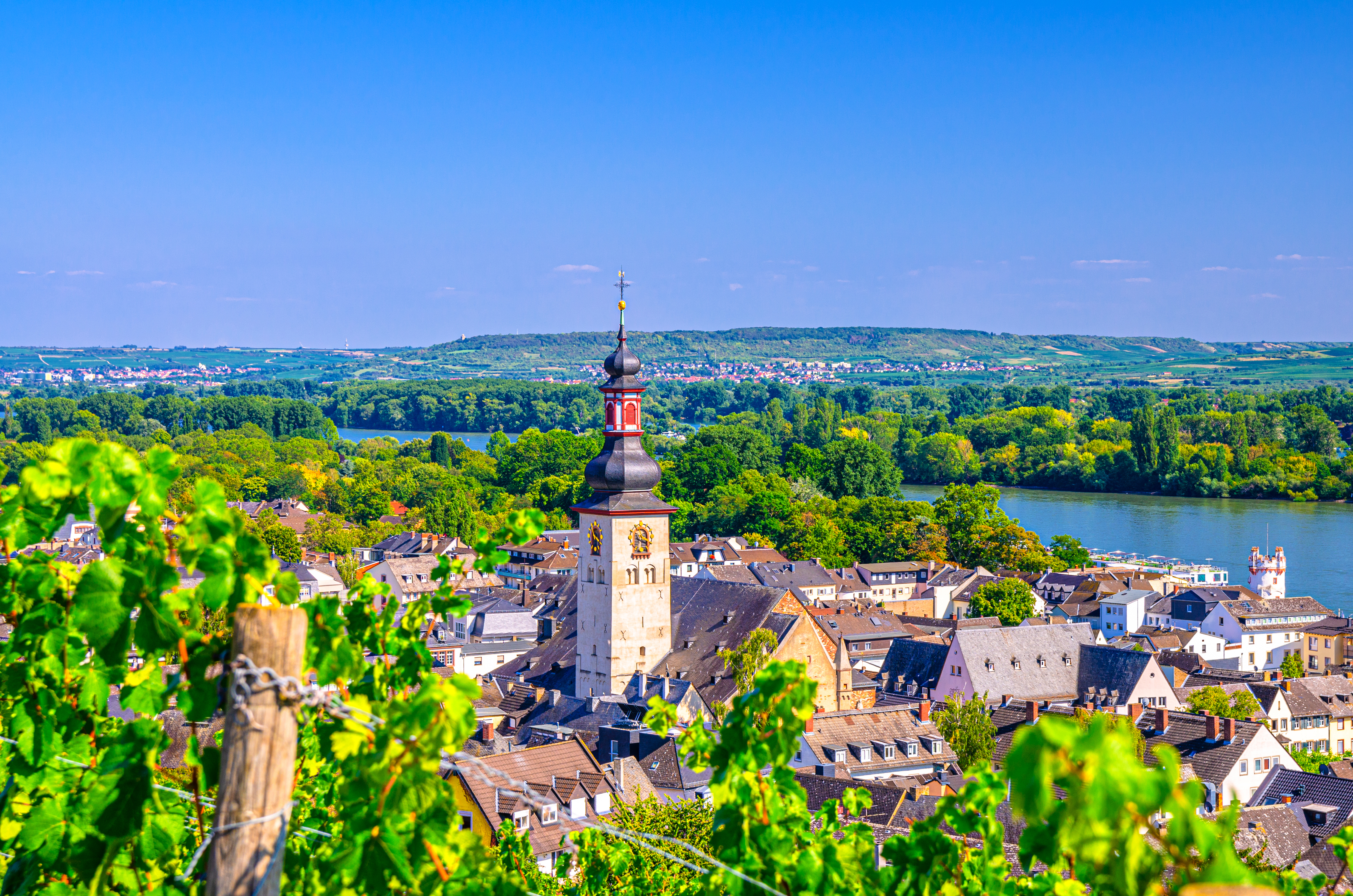 Panoramaudsigt over Rüdesheim am Rhein med St. Jakobus kirketårn, frodige vinmarker og Rhinen, der løber gennem den historiske tyske by