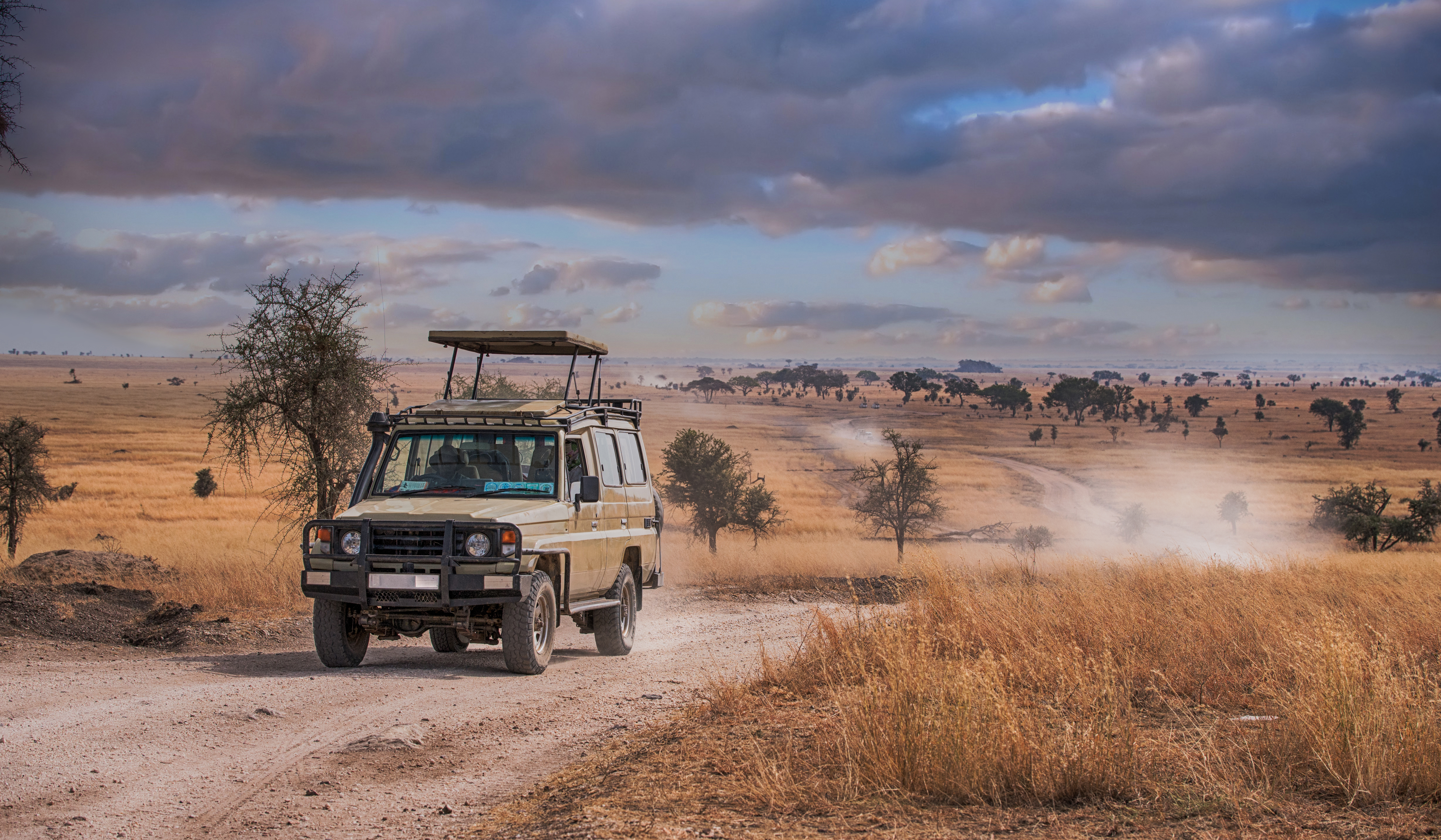 Safari køretøj på game drive i afrikansk savanne med elefanter